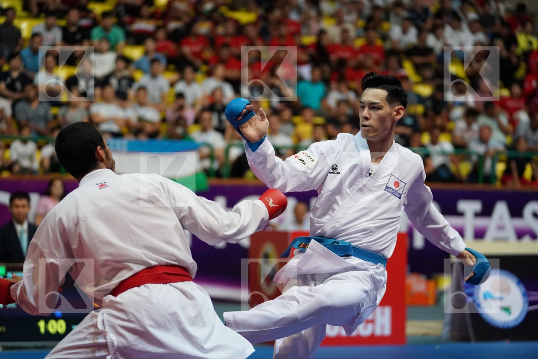 ALHAKAMI ABDULAZIZ (SAUDI ARABIA) vs NISHIMURA KEN (JAPAN) in Senior Kumite -75 Kg - Final bout