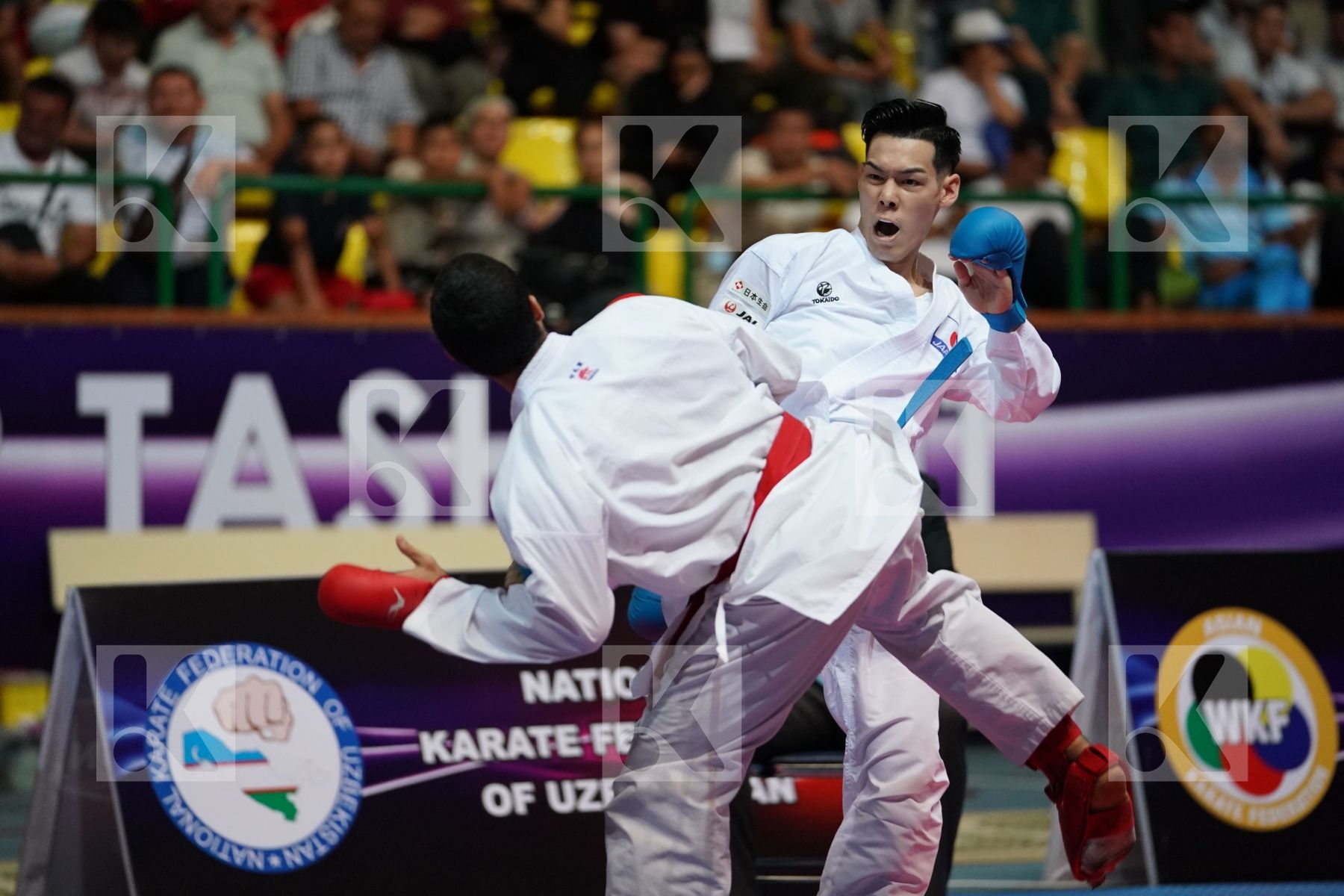ALHAKAMI ABDULAZIZ (SAUDI ARABIA) vs NISHIMURA KEN (JAPAN) in Senior Kumite -75 Kg - Final bout