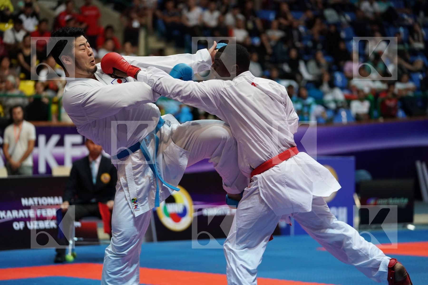 HAMEDI TAREG (SAUDI ARABIA) vs KAGAWA HIDEYOSHI (JAPAN) in Senior Kumite 84+ Kg - Final bout