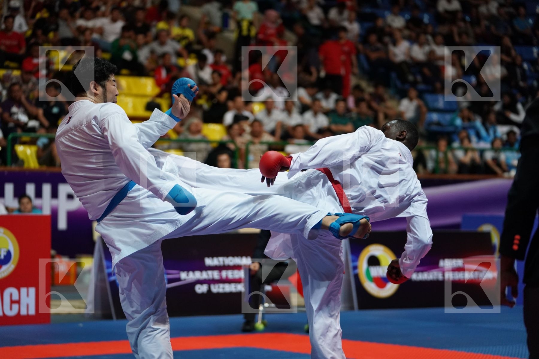 HAMEDI TAREG (SAUDI ARABIA) vs KAGAWA HIDEYOSHI (JAPAN) in Senior Kumite 84+ Kg - Final bout