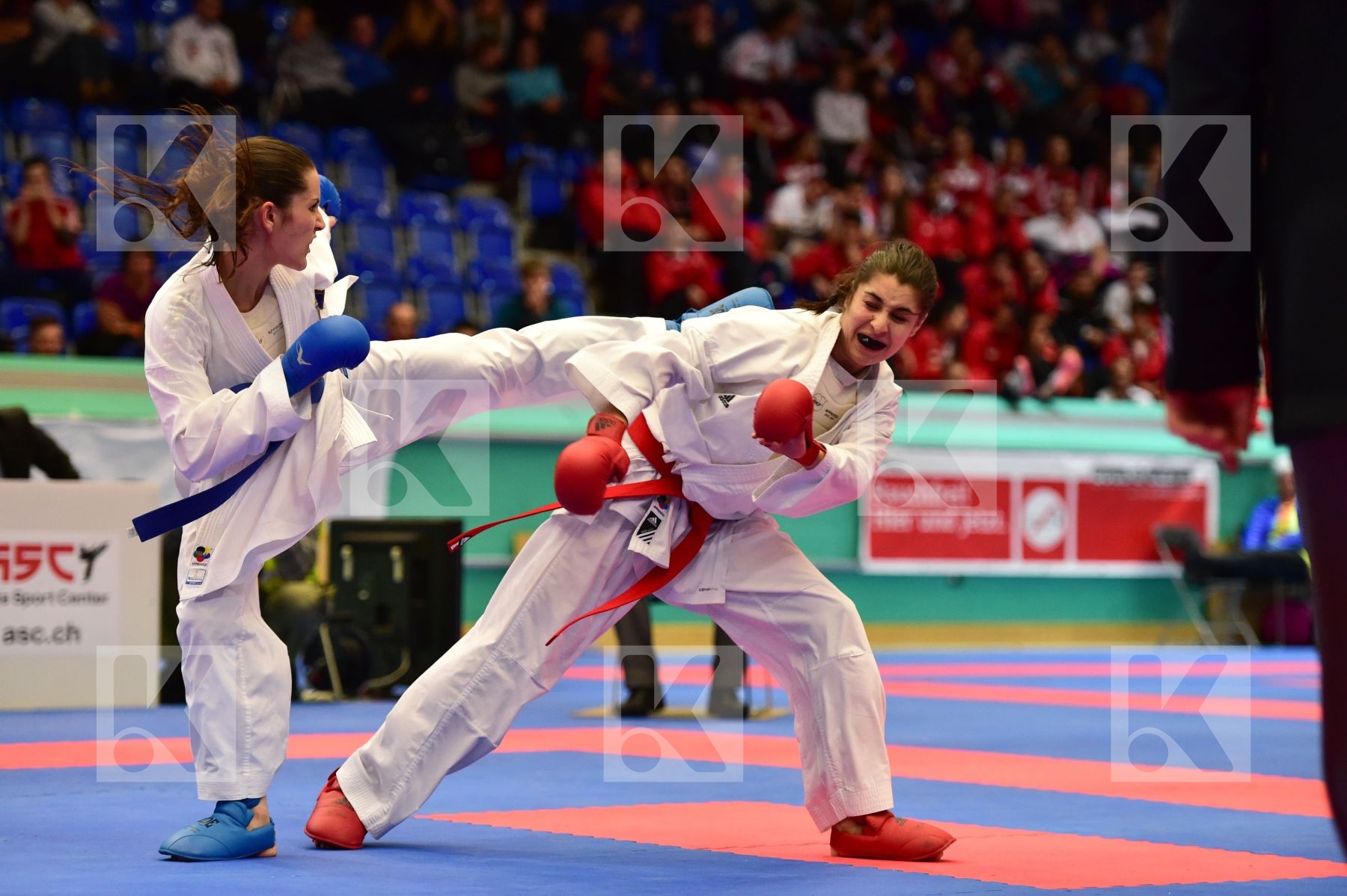 -53 kg Bosnia And Herzegovina Brito Andrea female finals france