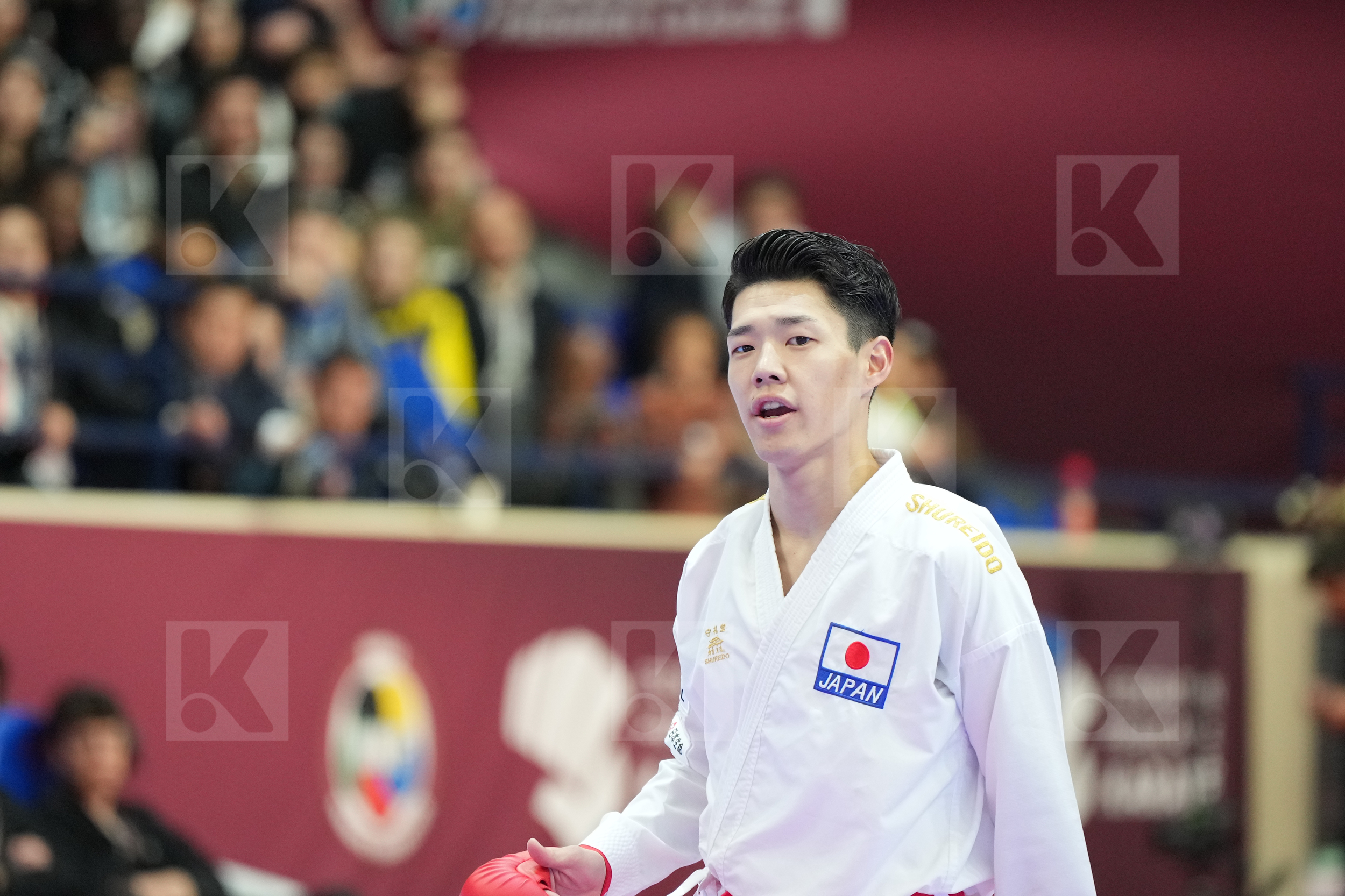 HASHIMOTO HIROMU (JAPAN) vs SAMDAN ERAY (TURKEY) in Male Kumite -60 Kg - Final bout