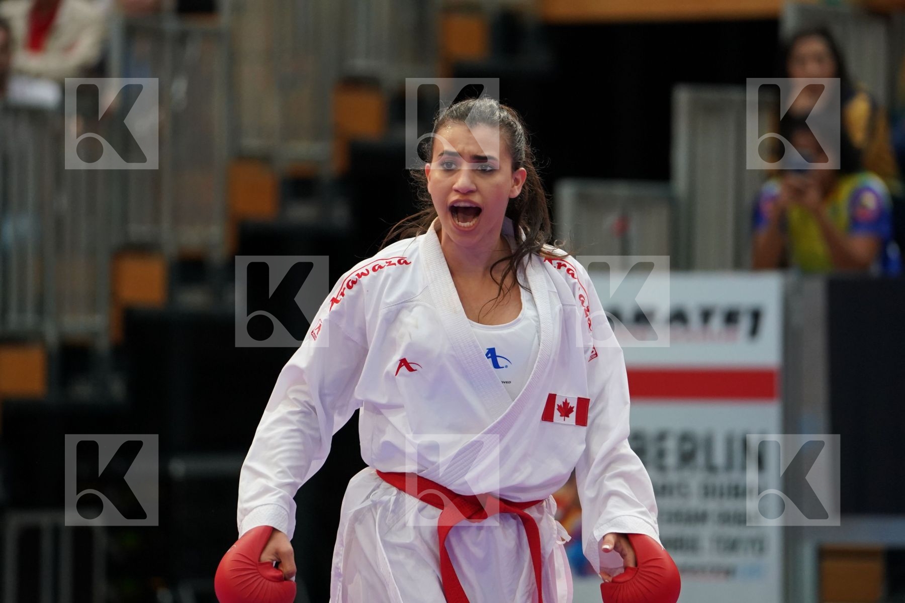 JUMAA HAYA (CANADA) vs LOTFY GIANA (EGYPT) in Senior Kumite Ð 61 Kg - Bronze bout