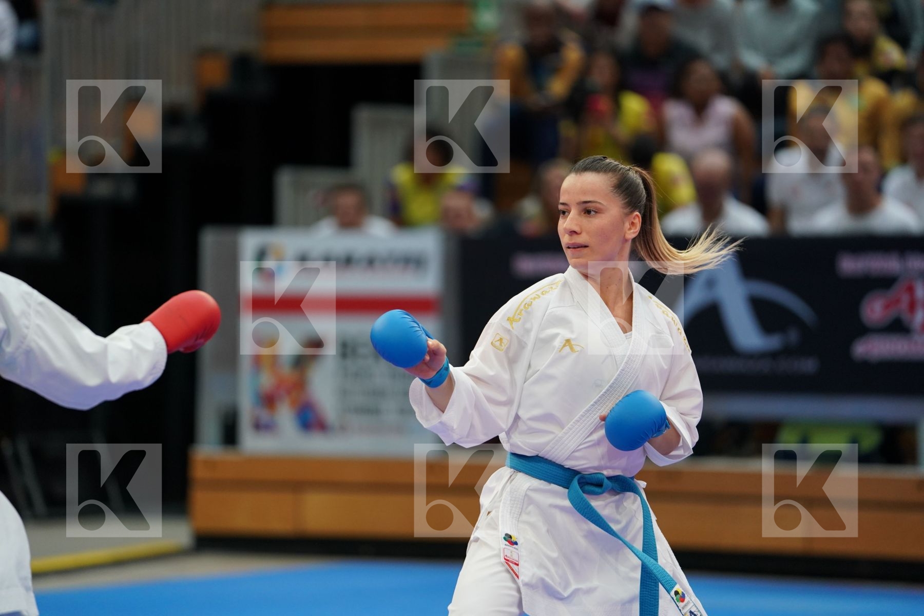 TADANO AYAKA (JAPAN) vs OZCELIK ARAPOGLU SERAP (TURKEY) in Senior Kumite -50 Kg - Gold bout