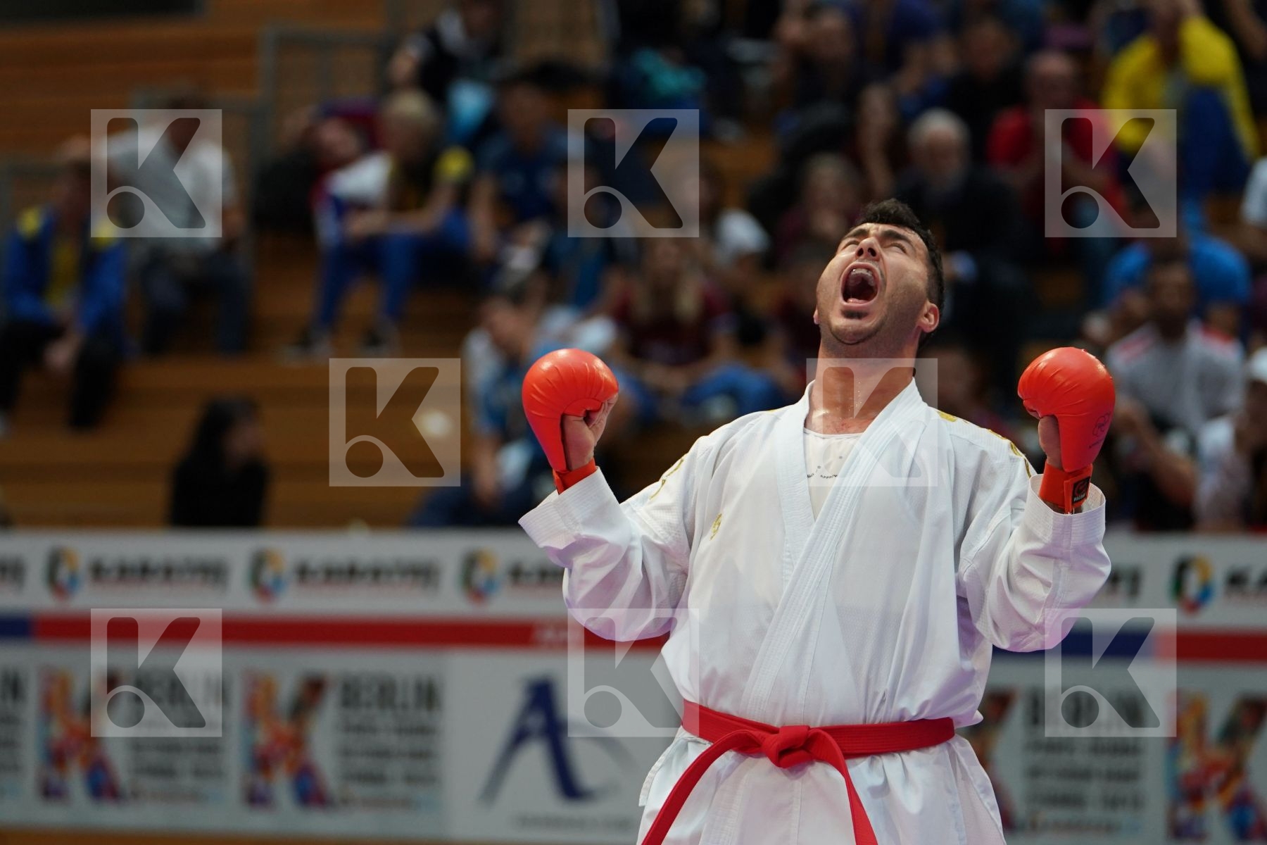 GANJZADEH SAJAD (IRAN) vs ARKANIA GOGITALIA (GEORGIA) in Senior Kumite 84+ Kg - Gold bout