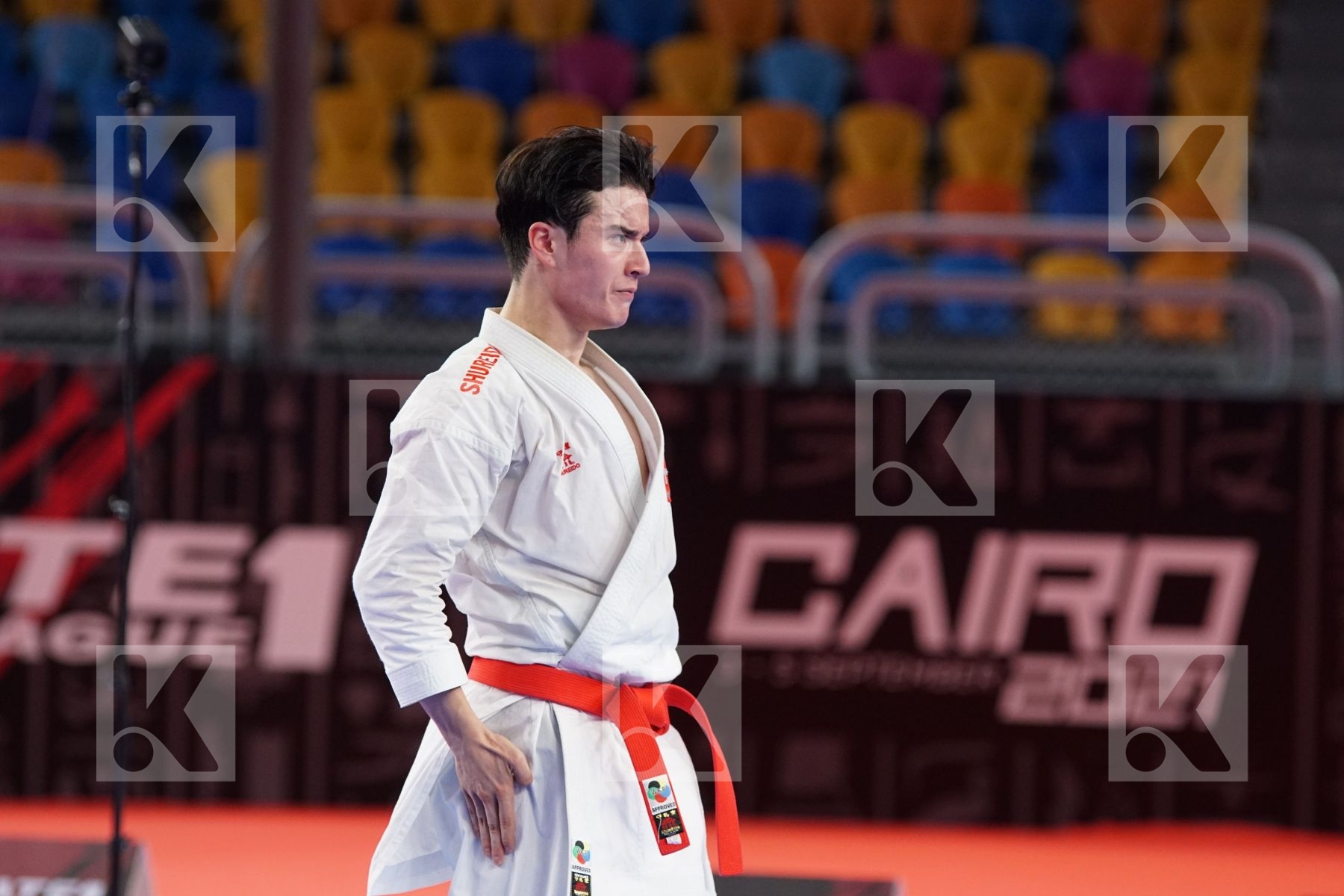 Yuki UJIHARA (SWITZERLAND) in Male Kata - Bronze bout