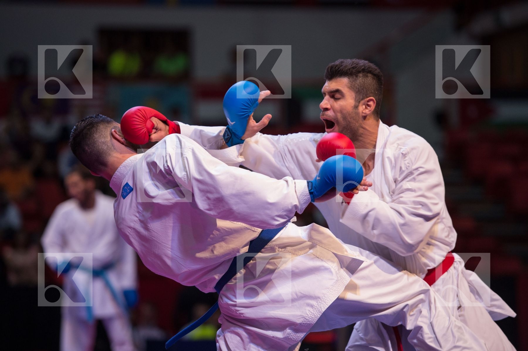 kumite qualification top