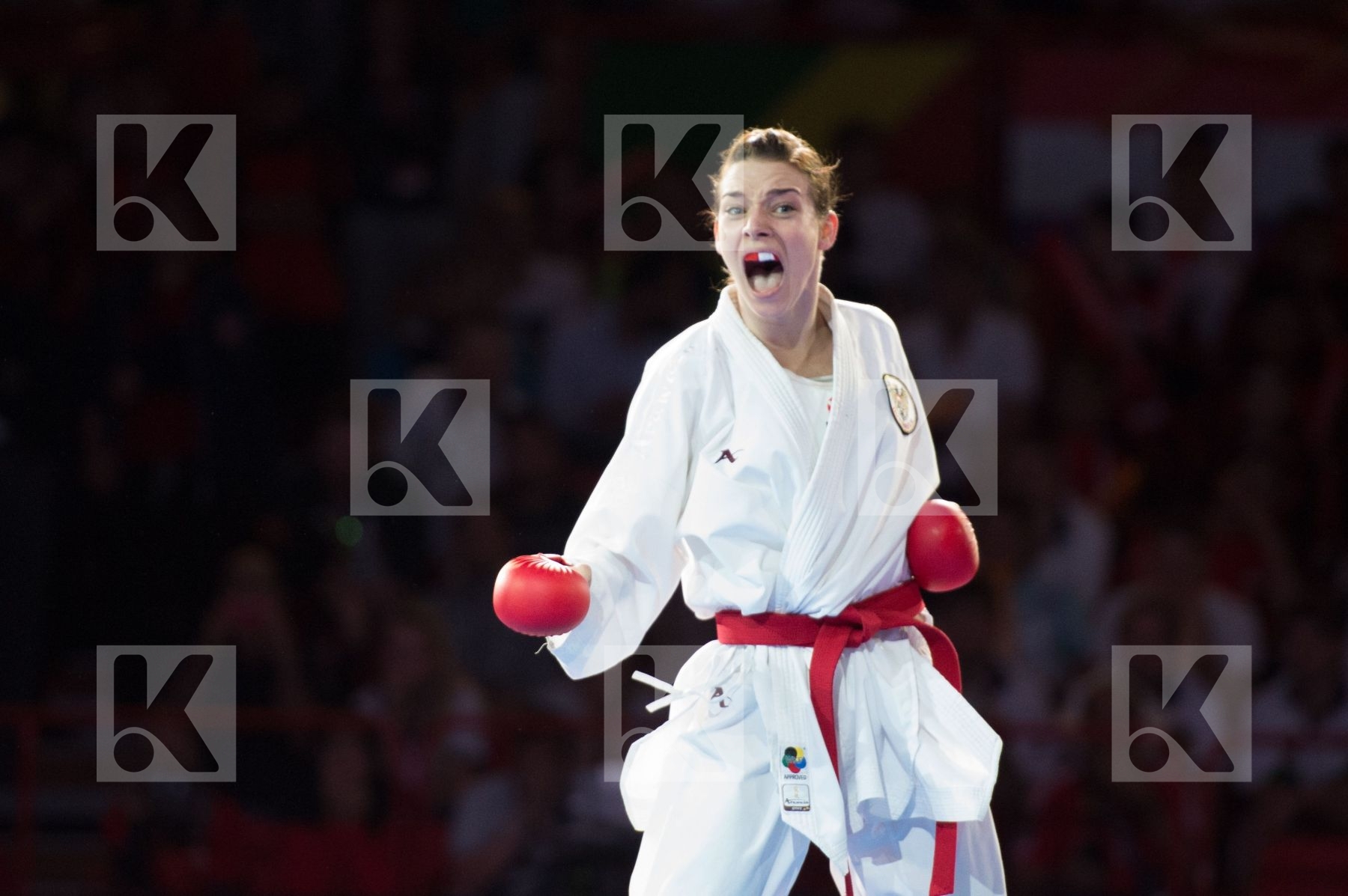 -50 Kg Austria Dubai Female final kumite Plank Bettina Radwan Ra