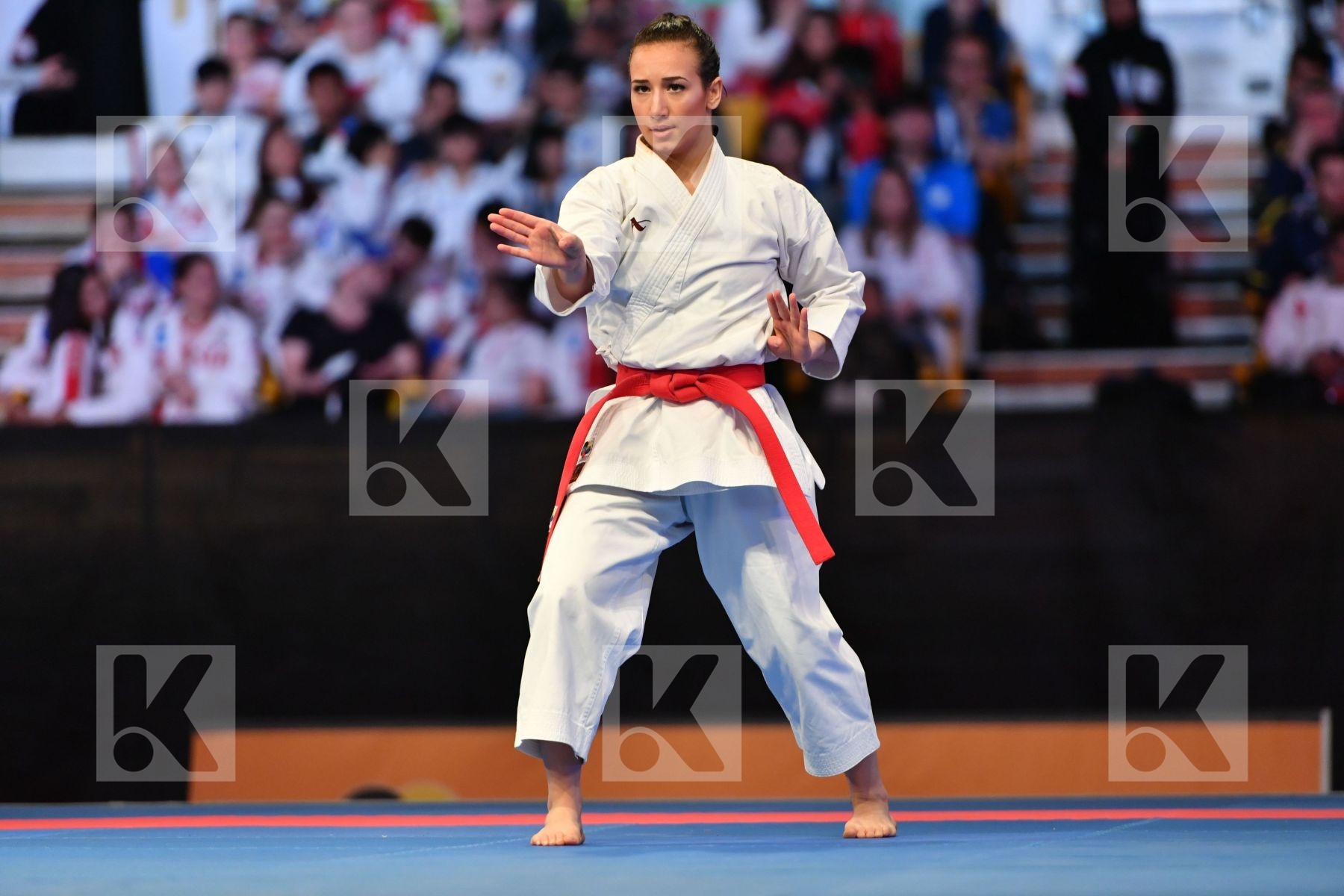 Anan dai D onofrio Terryana Female kata < LRBarcodes Italy