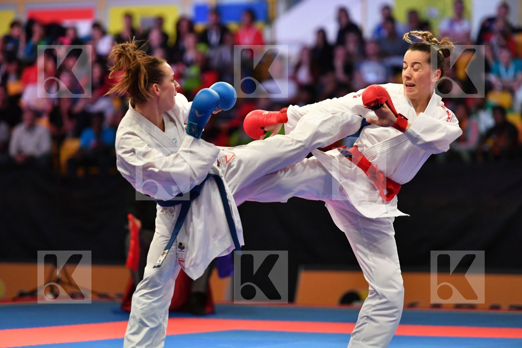 Austria Female kumite -50 kg < LRBarcodes Ozcelik Serap Plank Be
