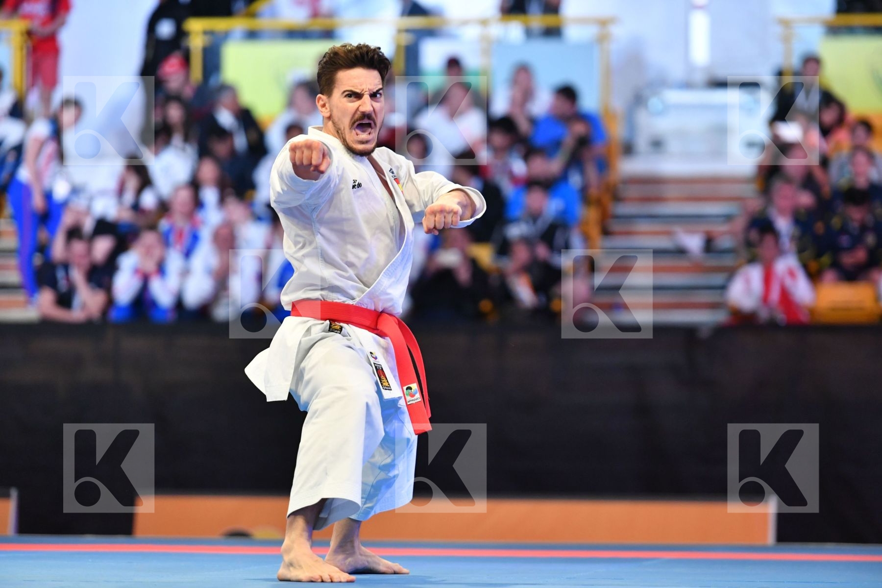 Male kata < LRBarcodes Quintero Damian Spain