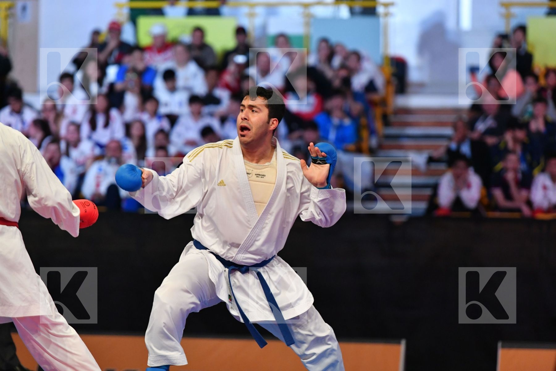 Arkania Gogita Ganjzadeh Sajad Georgia Iran Male kumite 84+ kg