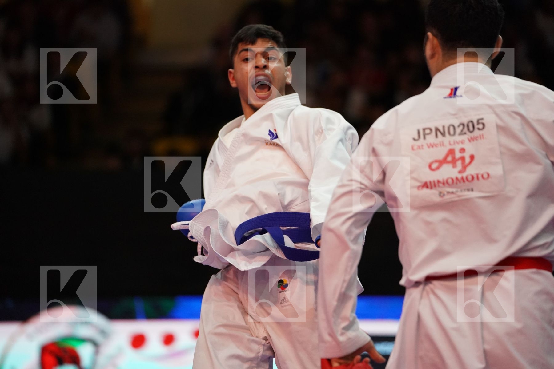 KAGAWA HIDEYOSHI (JAPAN) VS FILALI MEHDI (FRANCE) in Senior Kumite 84+ Kg - Gold bout