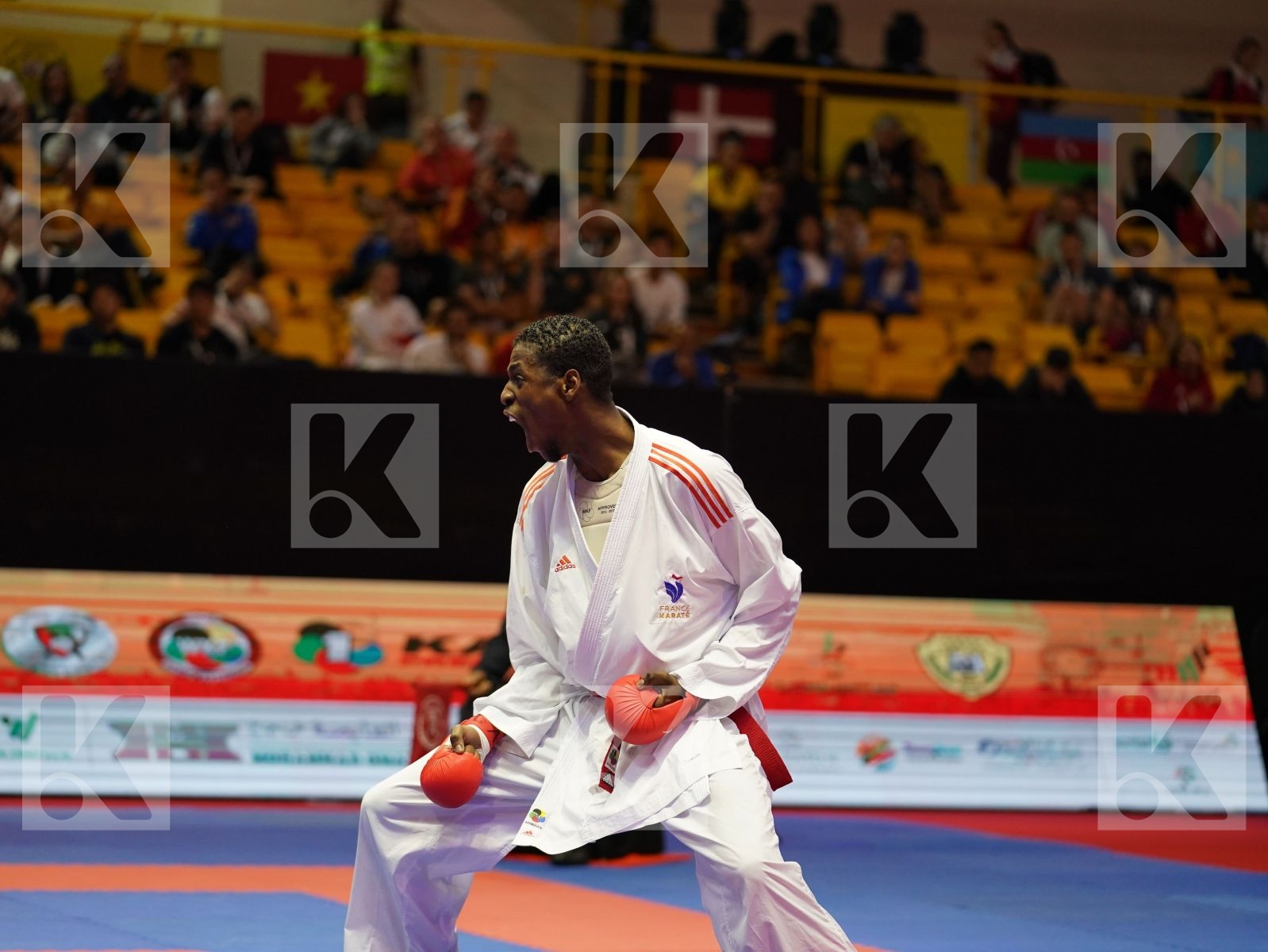 JACQUET DNYLSON (France) vs MAHMOUD TAHA TAREK (Egypt) in Senior Kumite 84+ Kg - Bronze bout