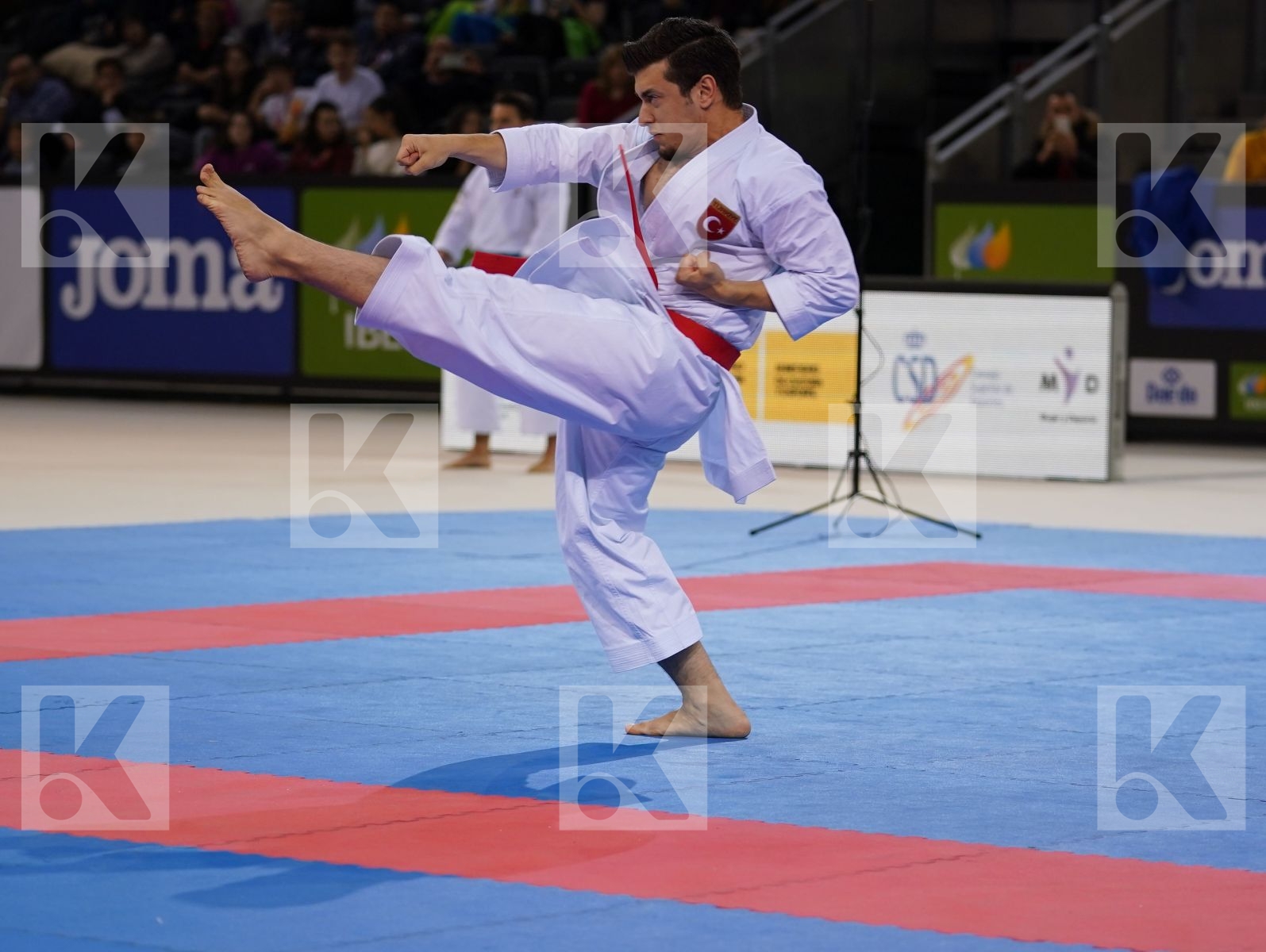 SOFUOGLU ALI (TURKEY) in Senior Male Kata - Gold bout