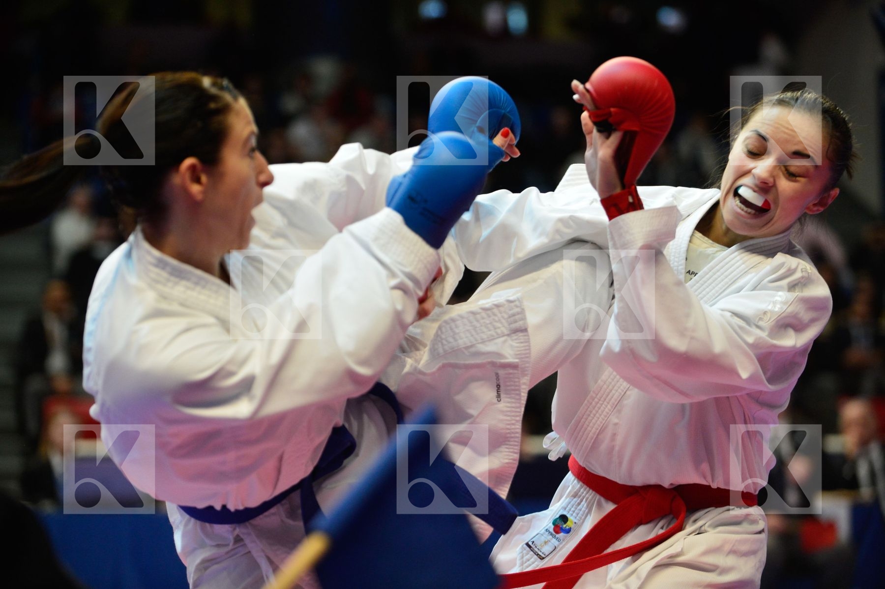 Top photo of -50 kg France Recchia Alexandra