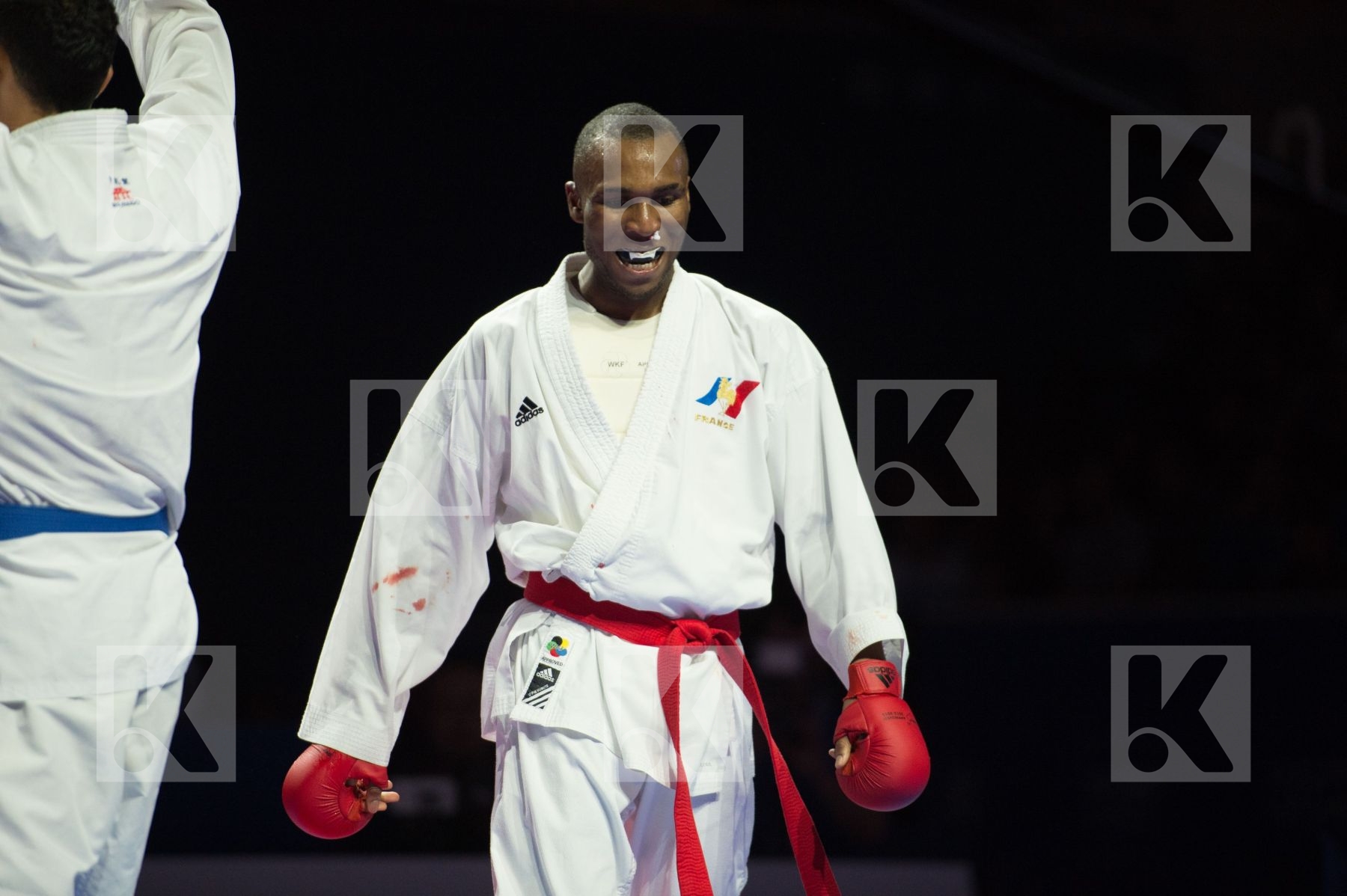 -67 kg Ahmadikaryani Saeid France Garin Marvin Iran- Islamic Rep