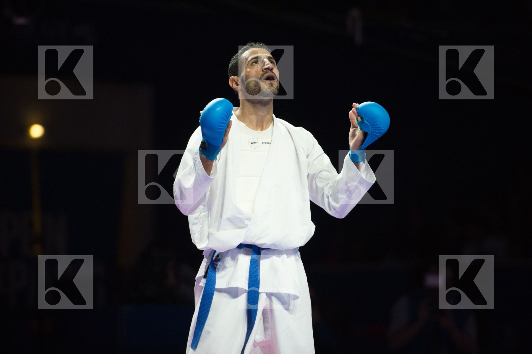 -67 kg Ahmadikaryani Saeid France Garin Marvin Iran- Islamic Rep