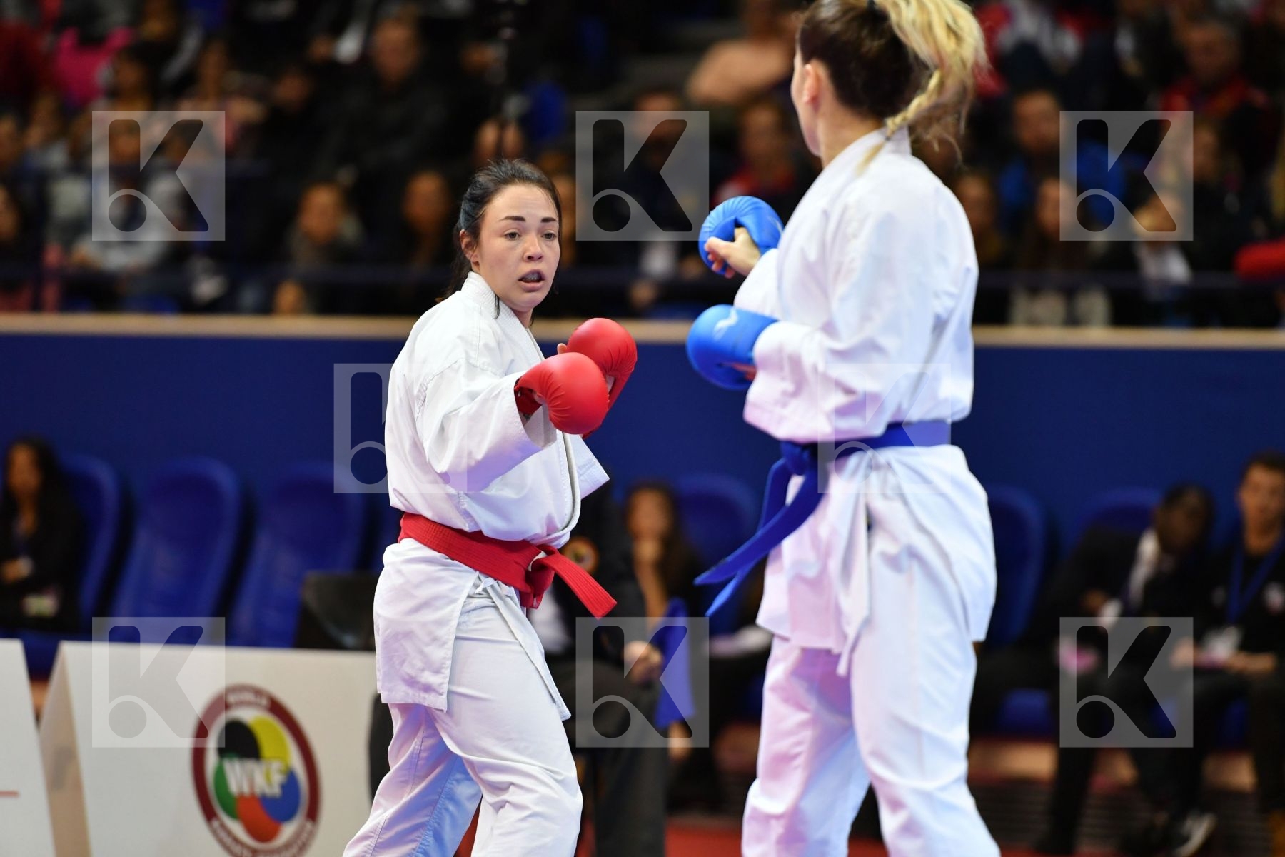 Female kumite -50 kg Ozcelik Serap Russian federation Rybakova K