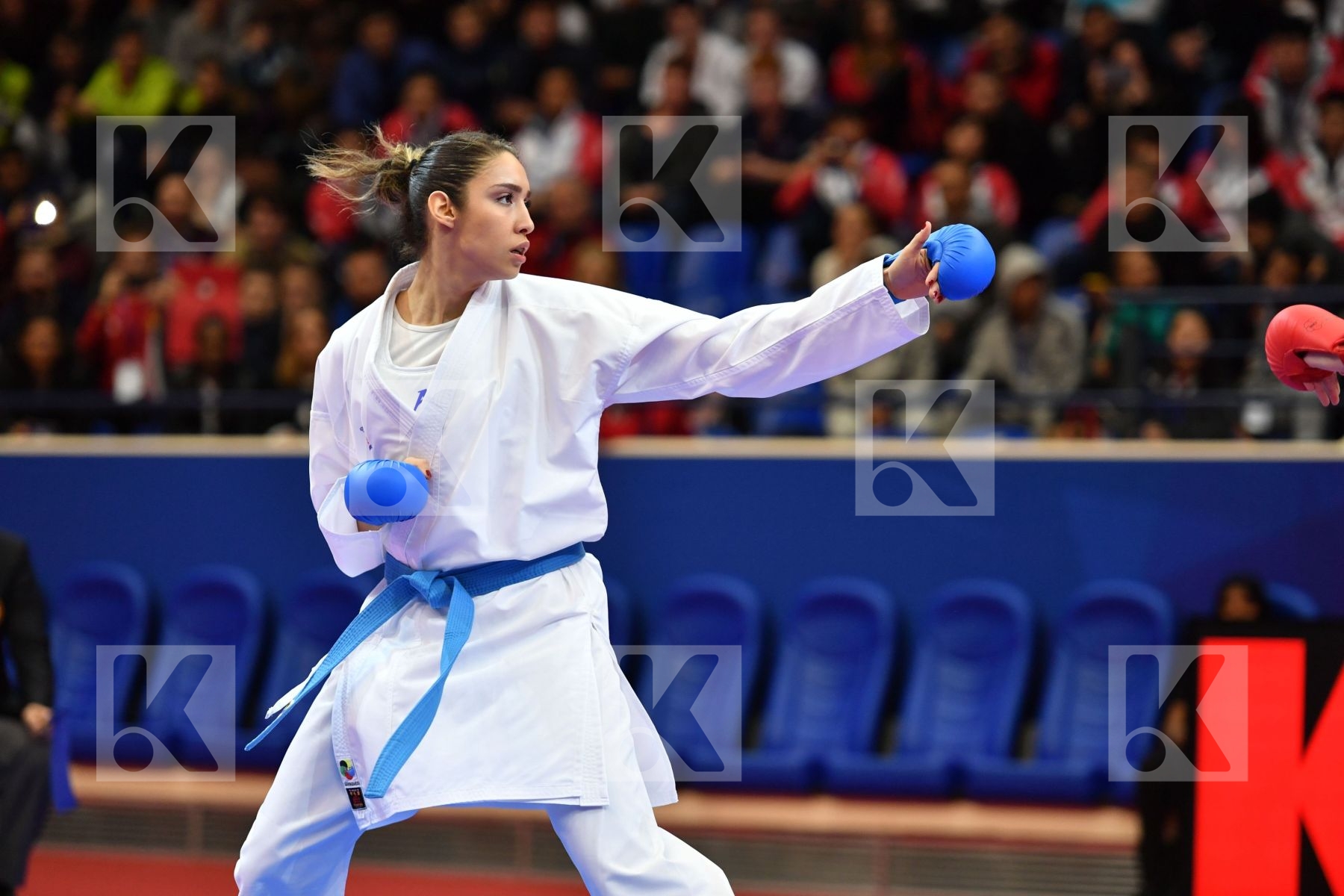 England Female kumite -68 kg France Karwacinski Kate Matoub Lamy