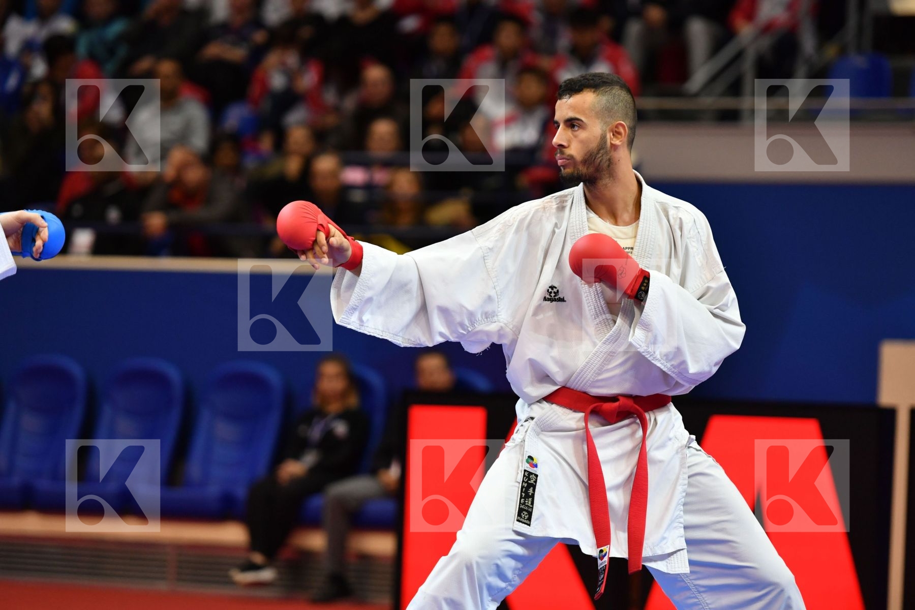 El sharaby Ahmed Horuna Stanislav Italy Male kumite -75 kg Ukrai