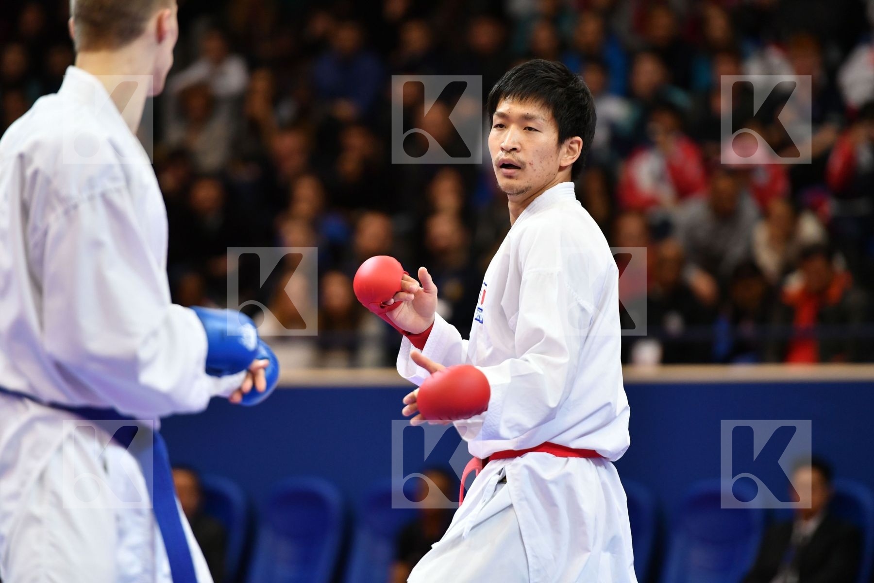 Araga Ryutaro Granovesov Ilya Japan Male kumite -84 kg Russian f