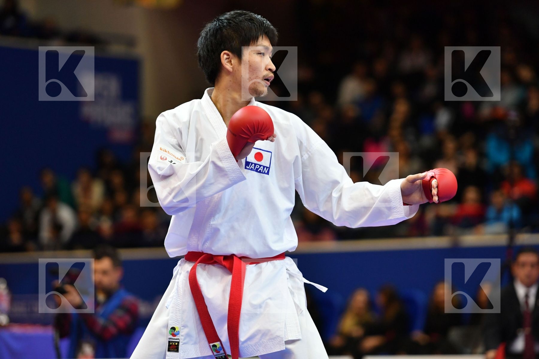 Araga Ryutaro Granovesov Ilya Japan Male kumite -84 kg Russian f