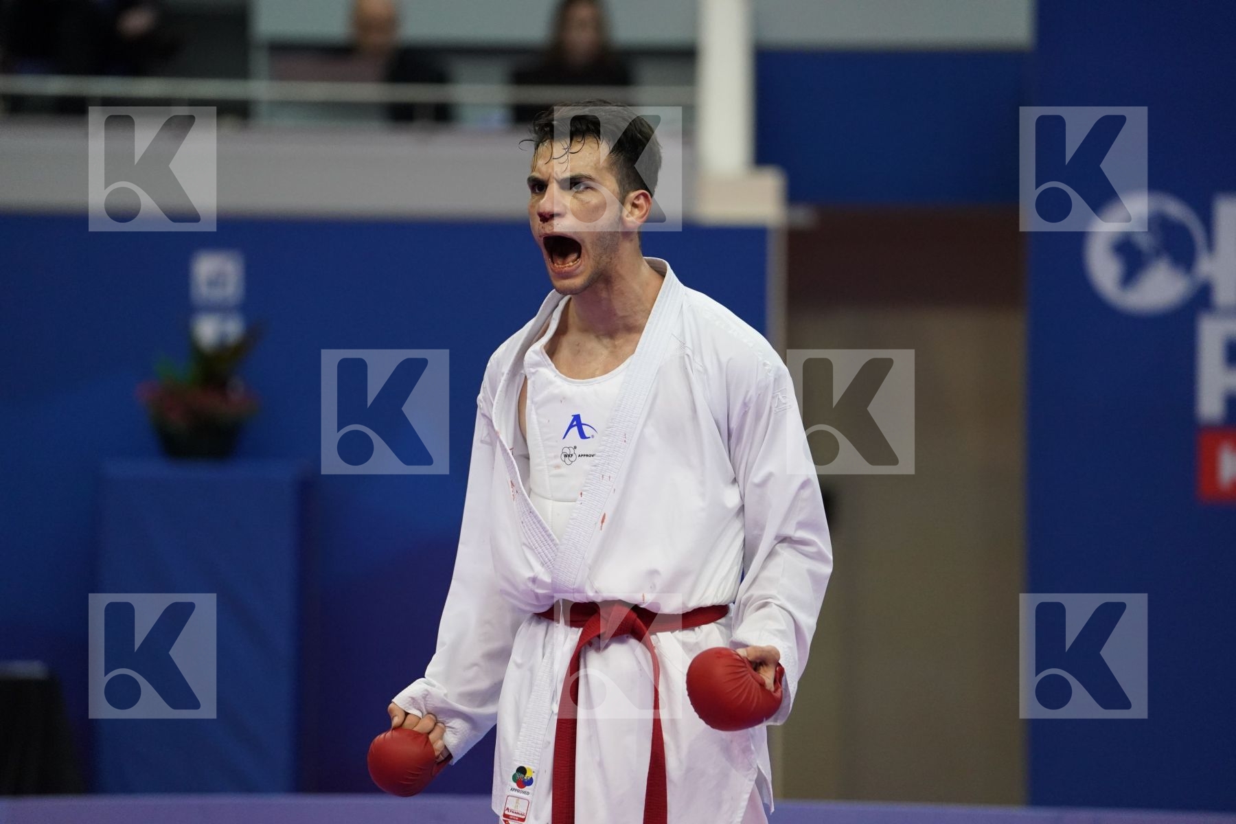 AHMED RAMADAN MOHAMED (EGYPT) vs AKTAS UGUR (TURKEY) in Senior Kumite Ð 84 Kg - Bronze bout