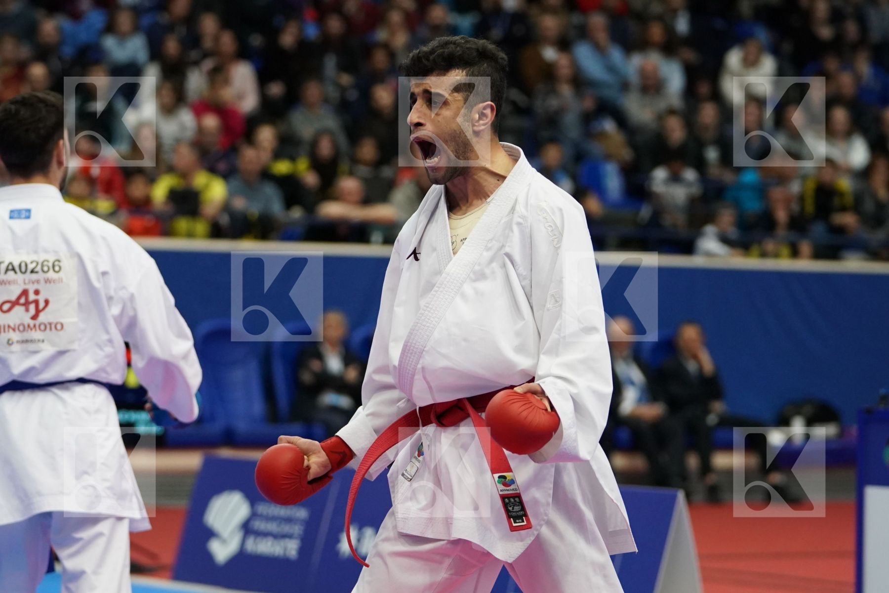 HASSANNIAIDEILAMI MAJID (ISLAMIC REPUBLIC OF IRAN) vs CRESCENZO ANGELO (ITALY) in Senior Kumite -60 Kg - Gold bout