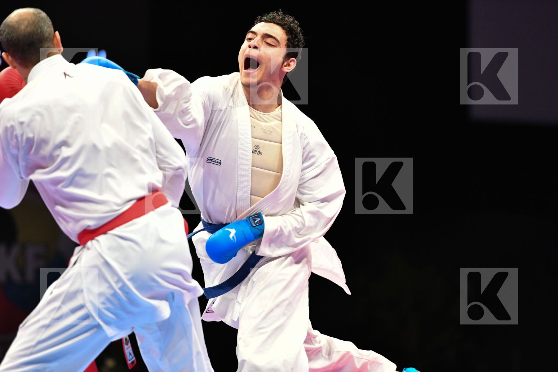 Egypt Elmasry Ahmed Male kumite -84 kg Morocco Oufkir Iliass