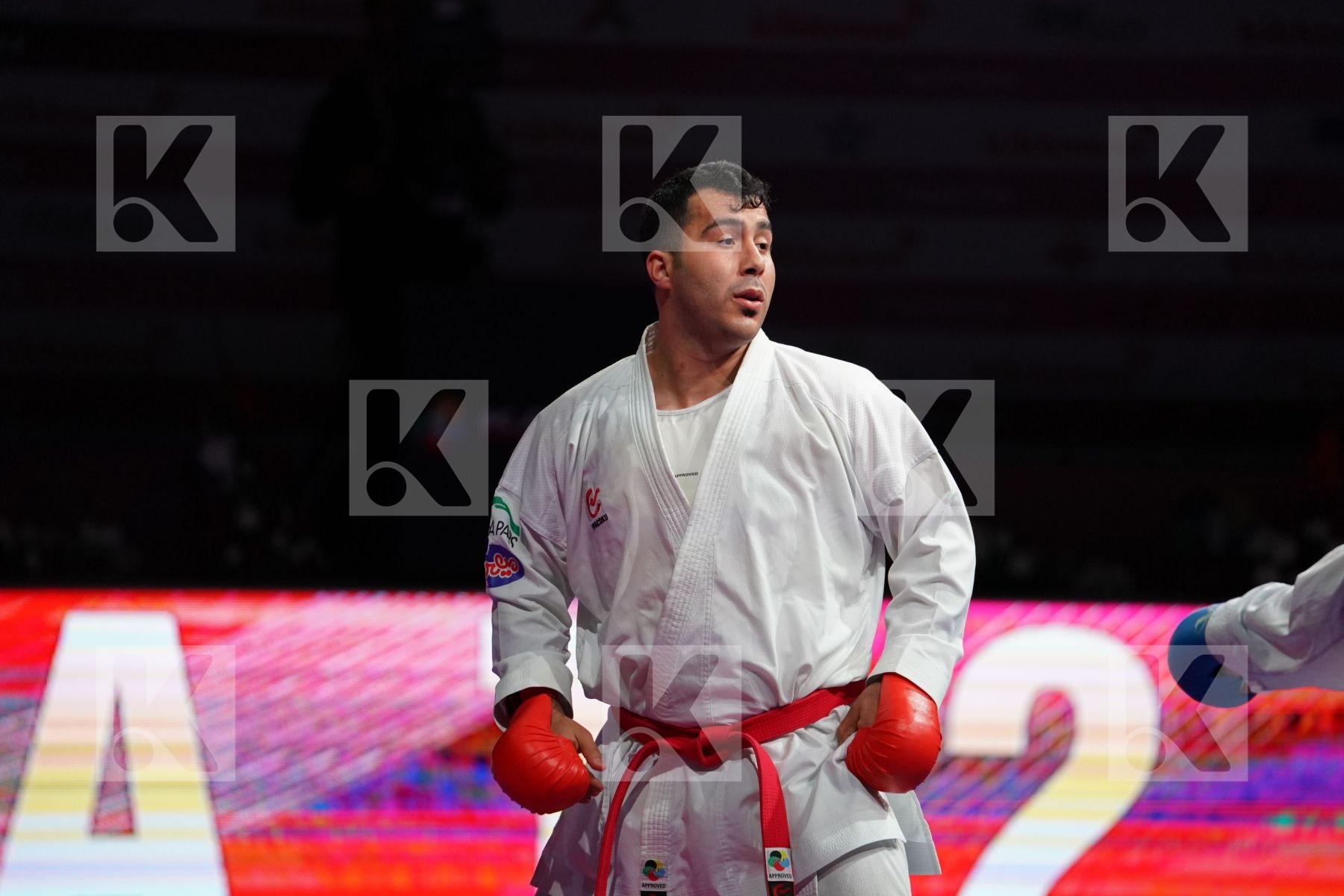 GANJZADEH SAJAD (IRAN) VS YAMANOGLU ALPARSLAN (TURKEY) in Senior Kumite 84+ Kg - Gold bout