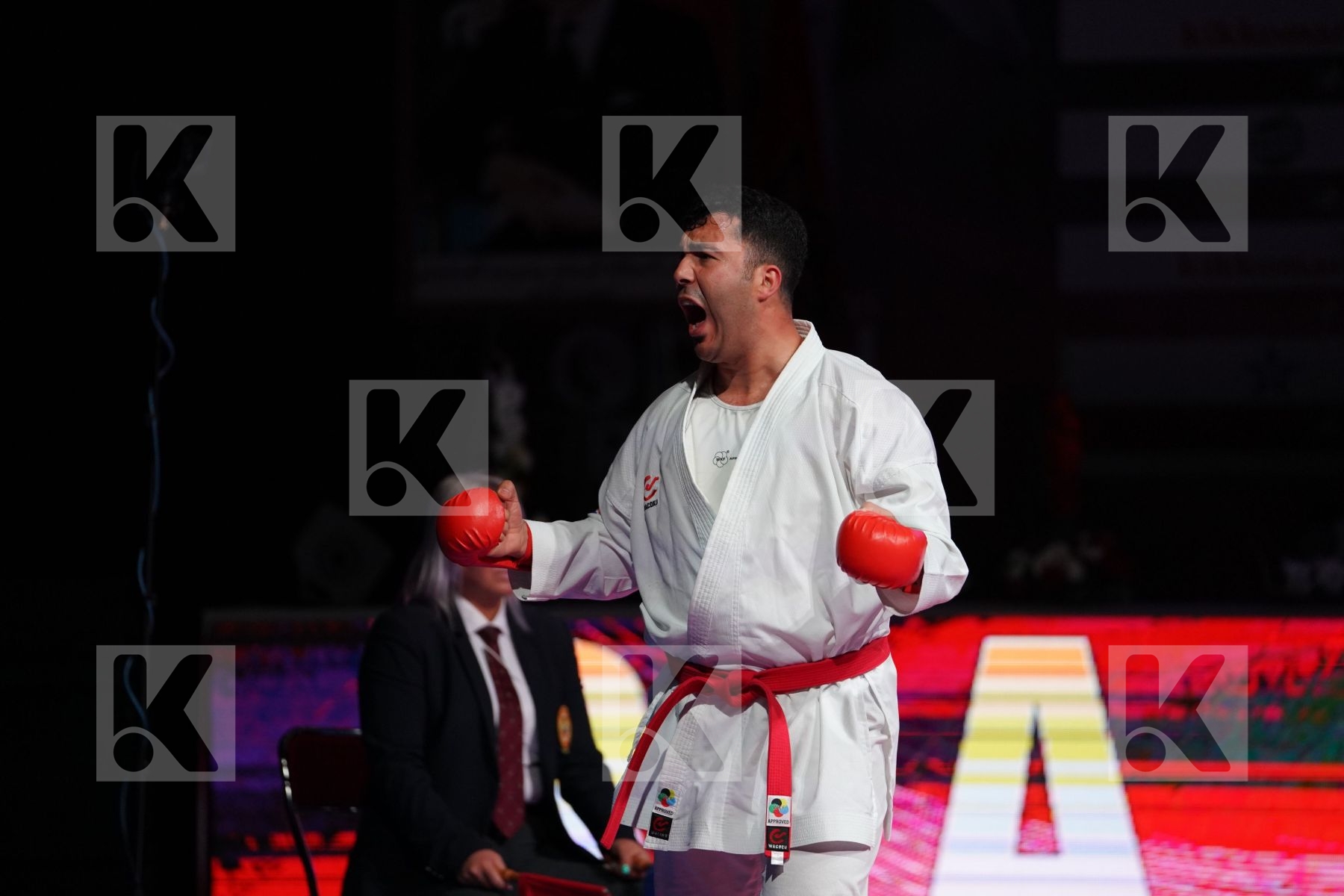 GANJZADEH SAJAD (IRAN) VS YAMANOGLU ALPARSLAN (TURKEY) in Senior Kumite 84+ Kg - Gold bout