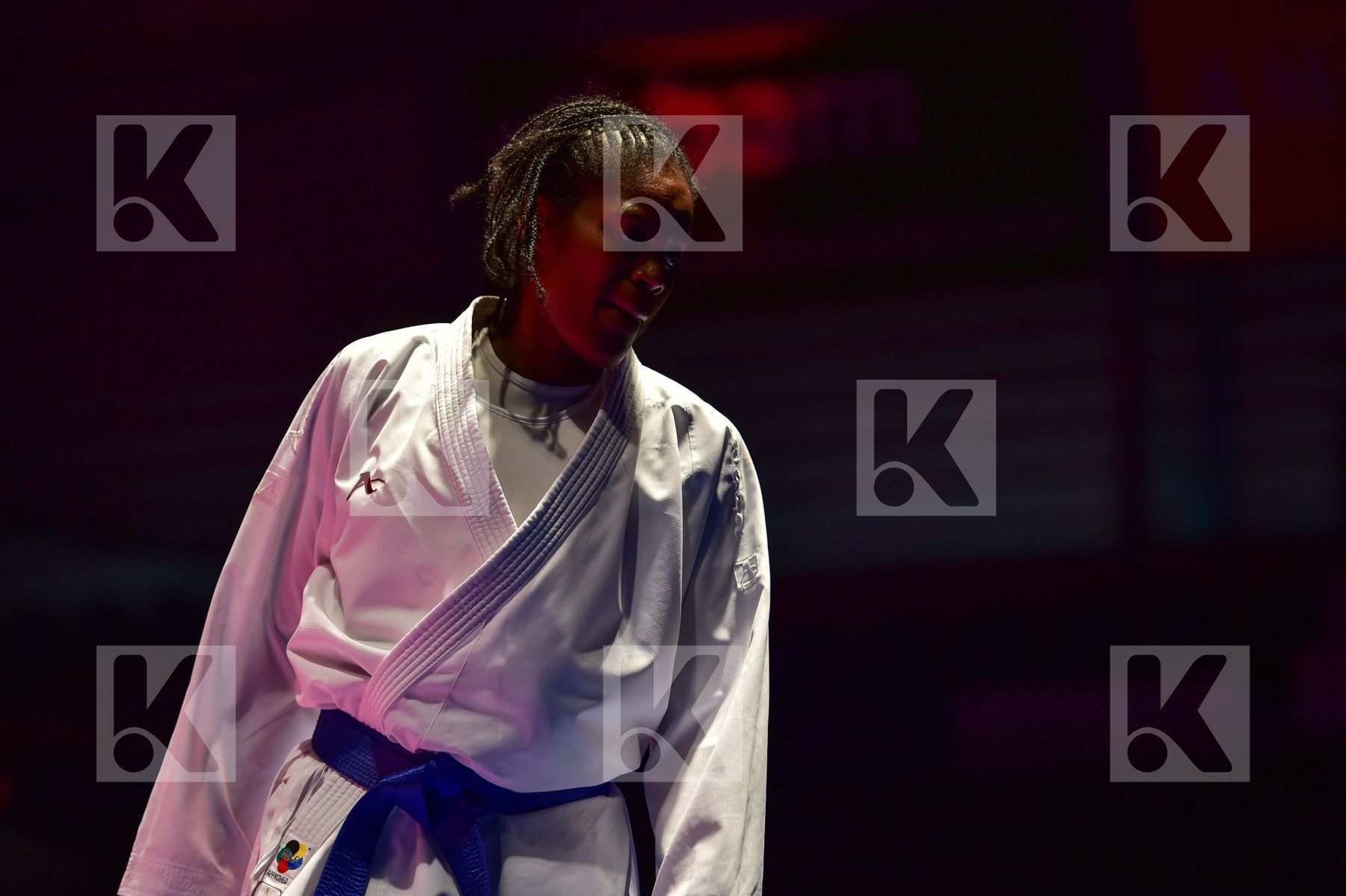 68+ kg Abbasali Hamideh Iran Islamic Republic Of kumite Netherla