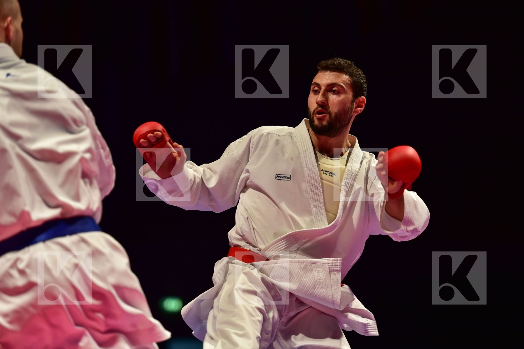 -84 kg kumite Netherlands Petersen Timothy Turkey Usda Aykut