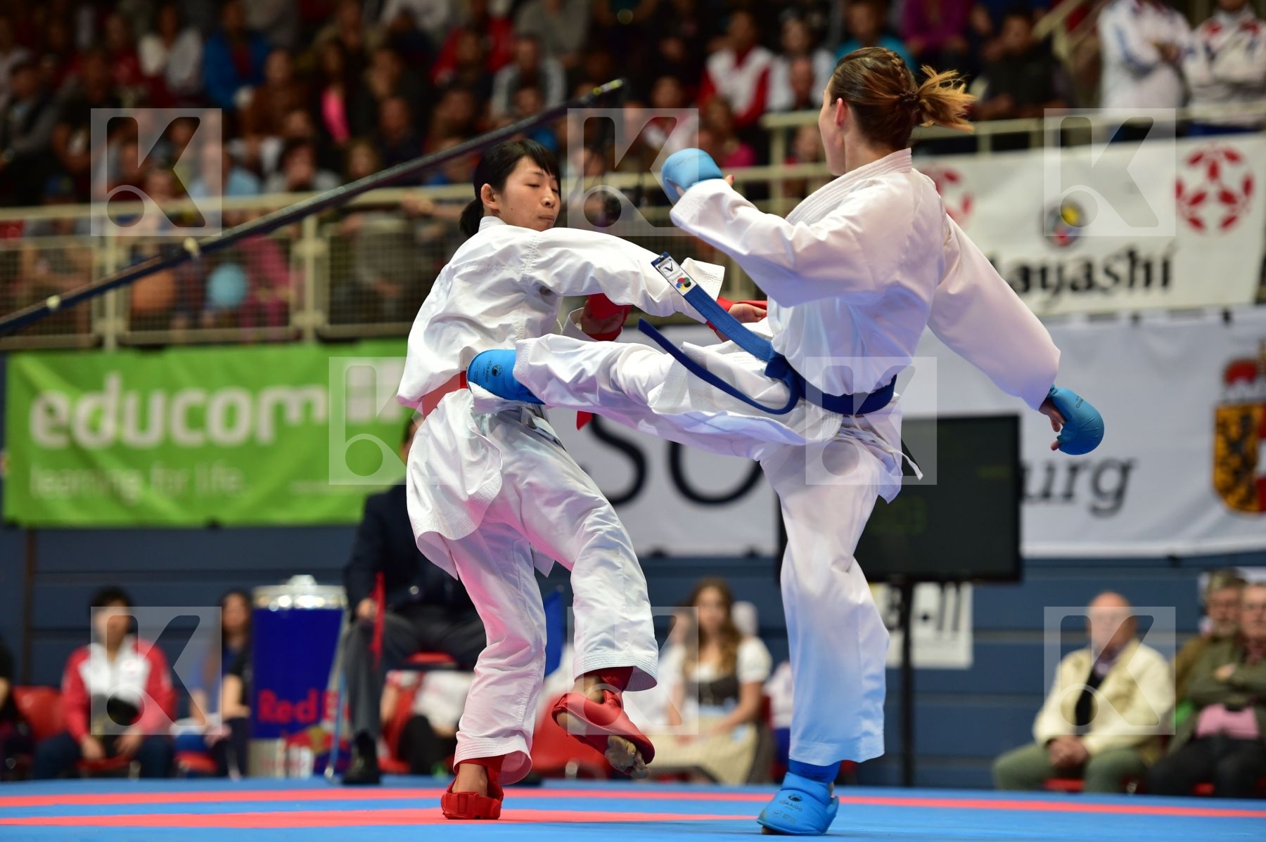 -50 Kg austria Japan kumite male plank bettina TADANO AYAKA
