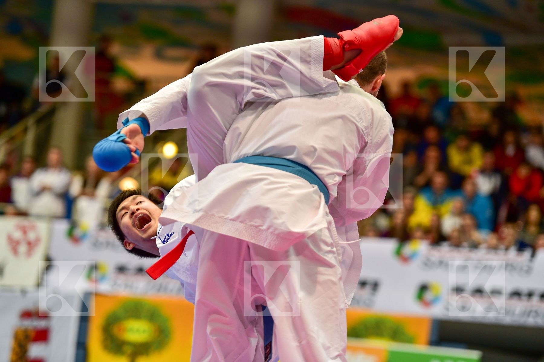 araga ryutaro Japan karaqi alvin kosovo male kumite -84 kg repub