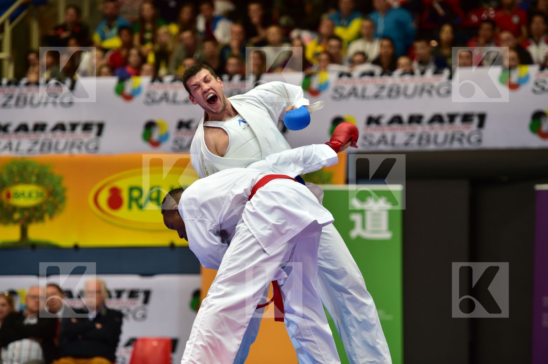 bitevic slobodan male kumite 84+ kg netherlands serbia sheppard