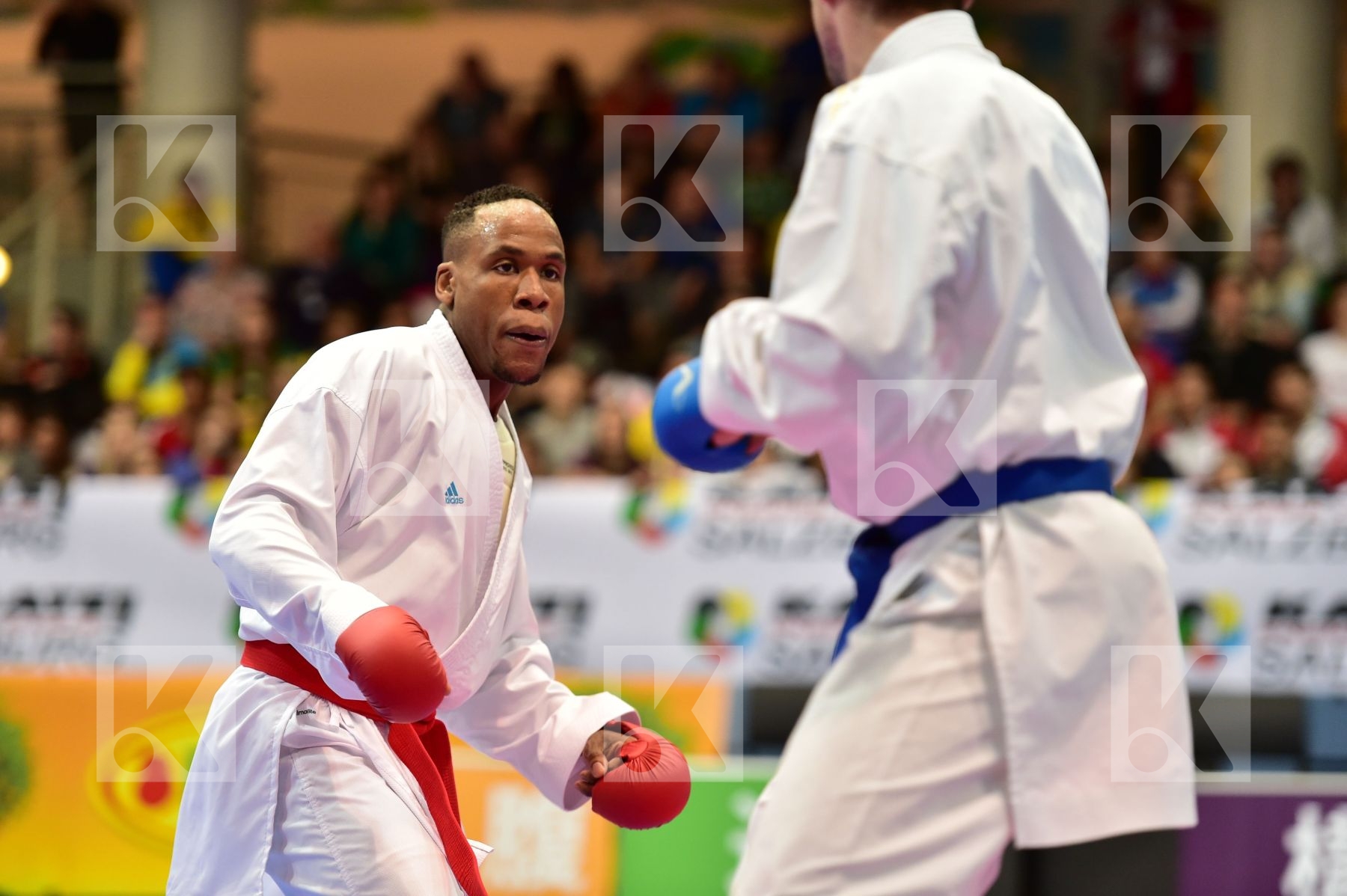 bitevic slobodan male kumite 84+ kg netherlands serbia sheppard