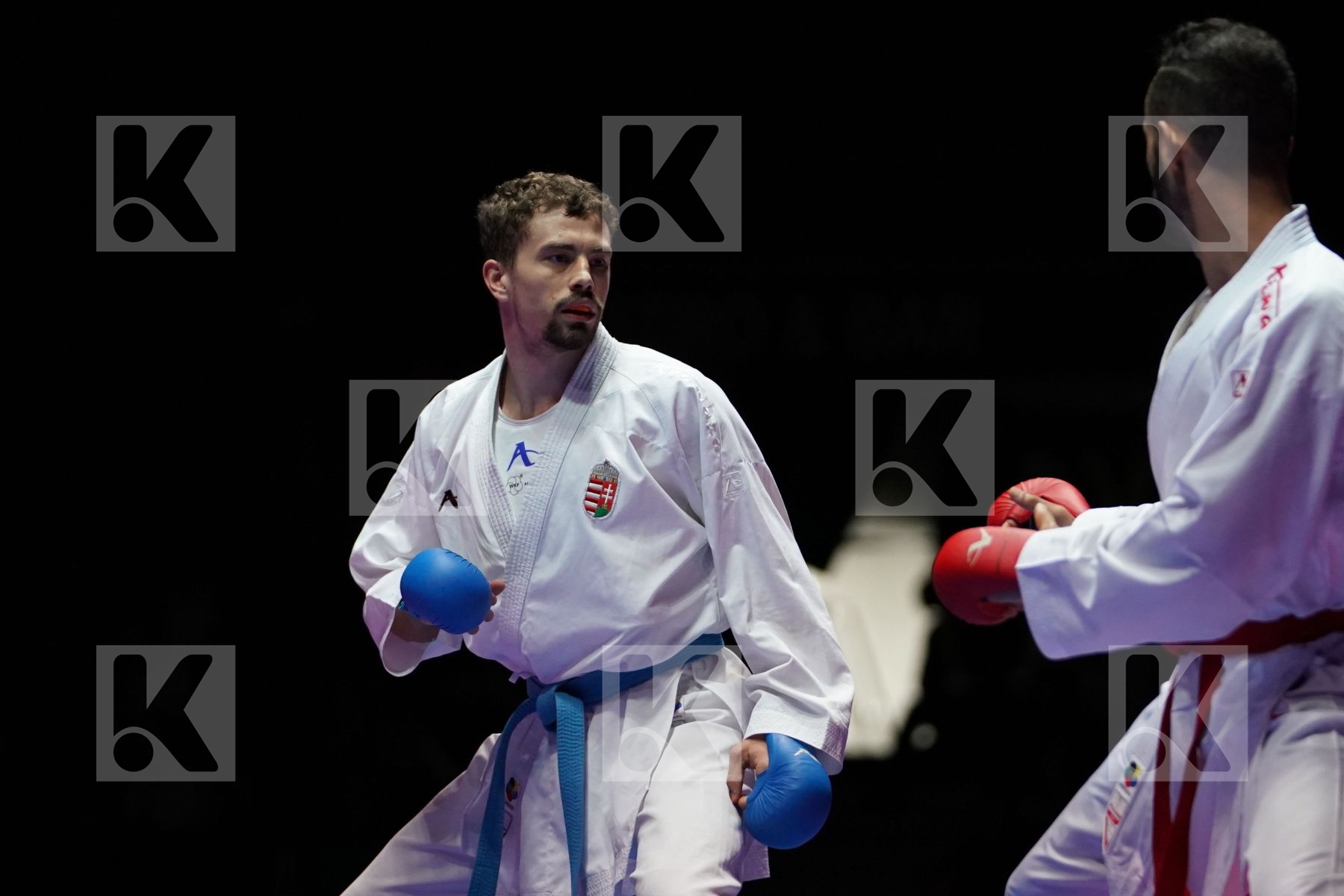 AHMED MOHEY EL SHARABY EZZAT (ITALY) VS GABOR HARSPATAKI (HUNGARY) in Senior Kumite -75 Kg - Gold bout
