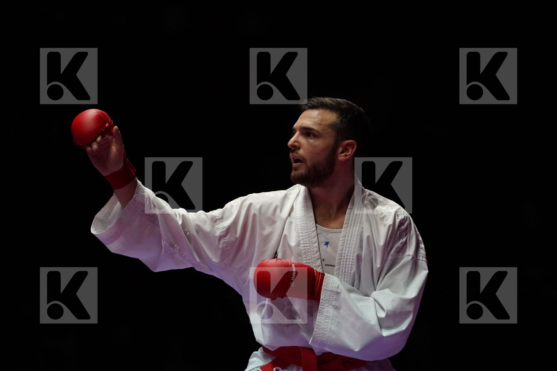 STEFAN POKORNY (AUSTRIA) VS ALI ELSAWY (EGYPT) in Senior Kumite -67 Kg - Gold bout