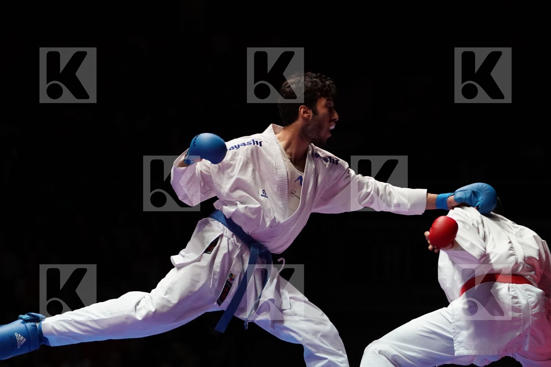 STEFAN POKORNY (AUSTRIA) VS ALI ELSAWY (EGYPT) in Senior Kumite -67 Kg - Gold bout