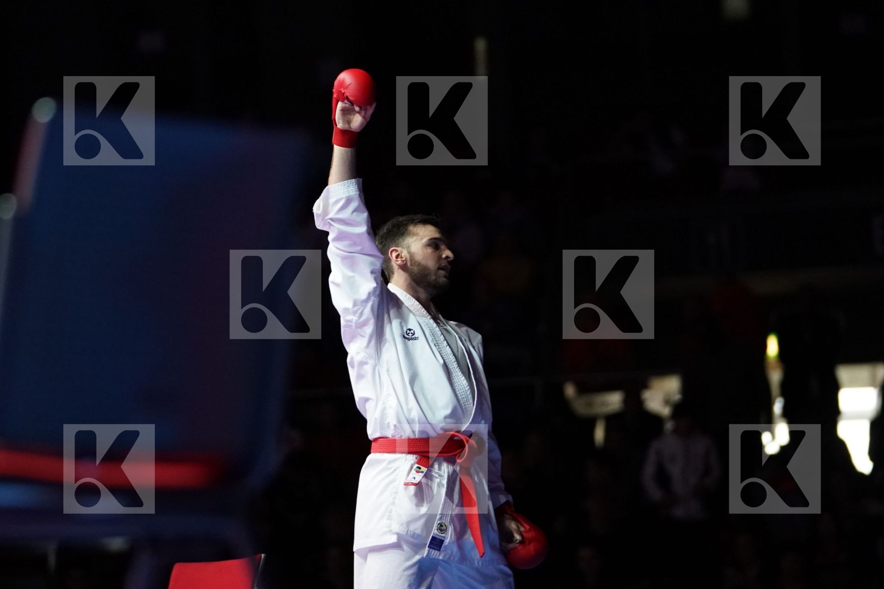 STEFAN POKORNY (AUSTRIA) VS ALI ELSAWY (EGYPT) in Senior Kumite -67 Kg - Gold bout