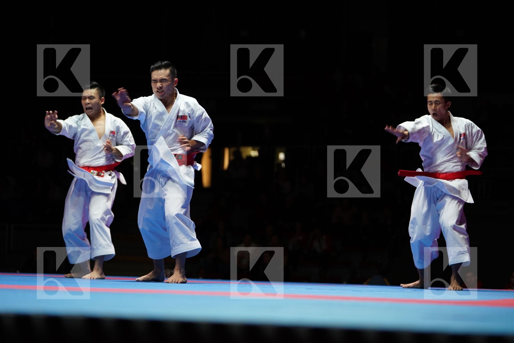 MALAYSIA (HOE, LEONG, OH THENG WEI) in Senior Team Male Kata - Gold bout