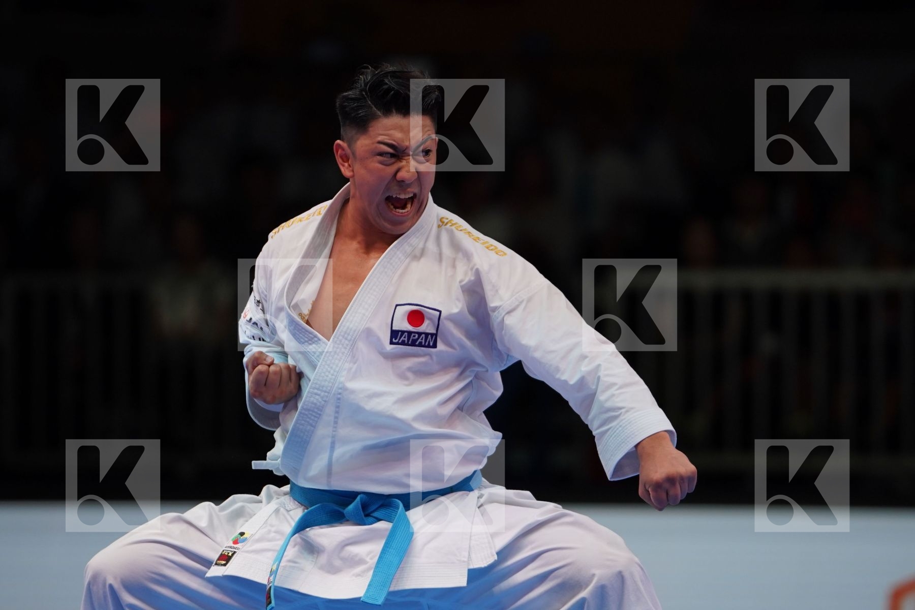 KIYUNA RYO (JAPAN) in Senior Male Kata - Gold bout