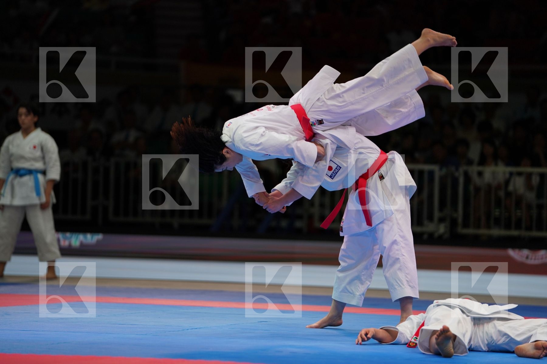 JAPAN in Senior Team Male Kata - Gold bout