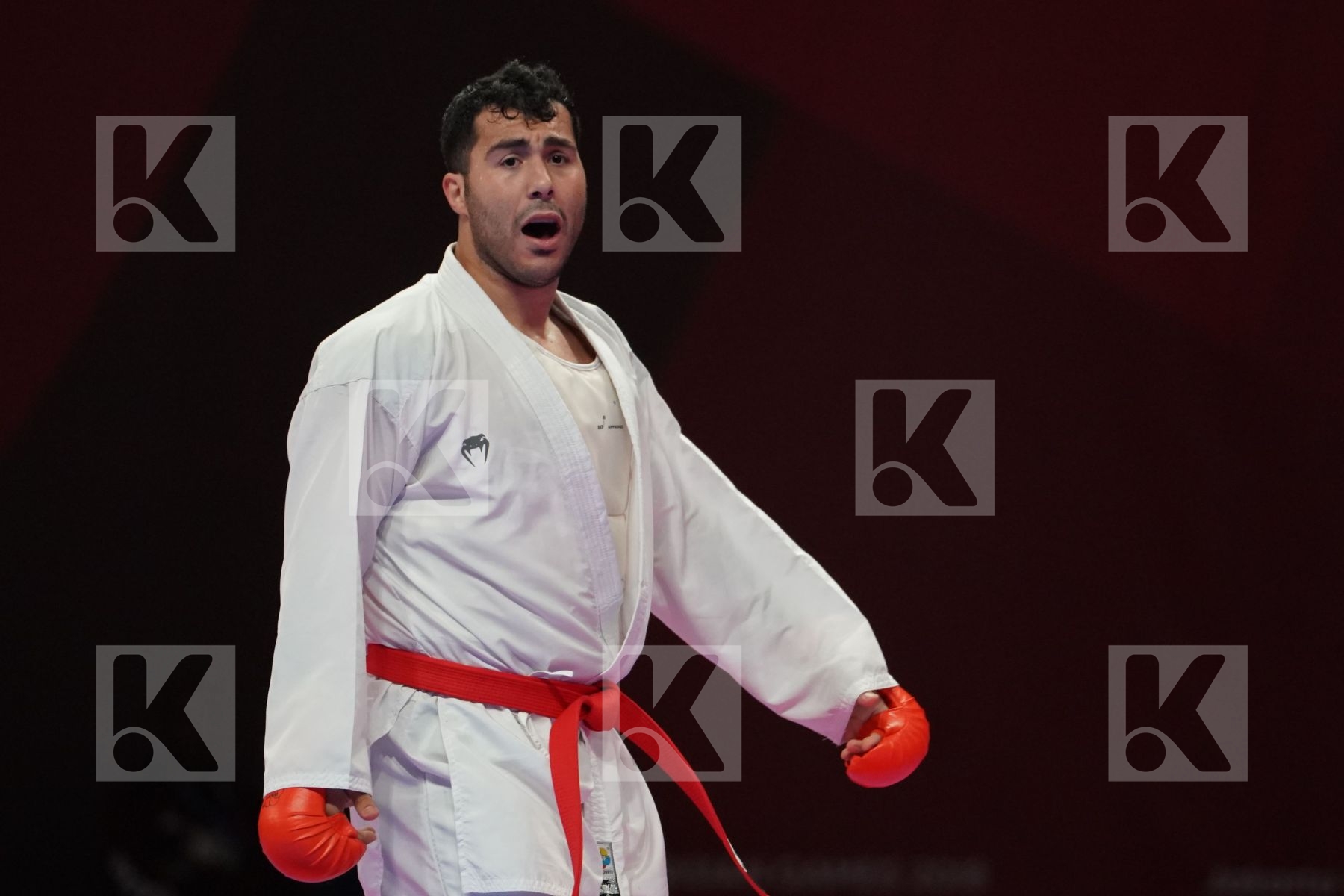 SAJAD GANJZADEH (ISLAMIC REPUBLIC OF IRAN) vs TAREG ALI HAMEDI (SAUDI ARABIA) in Senior Kumite 84+ Kg - Qualification