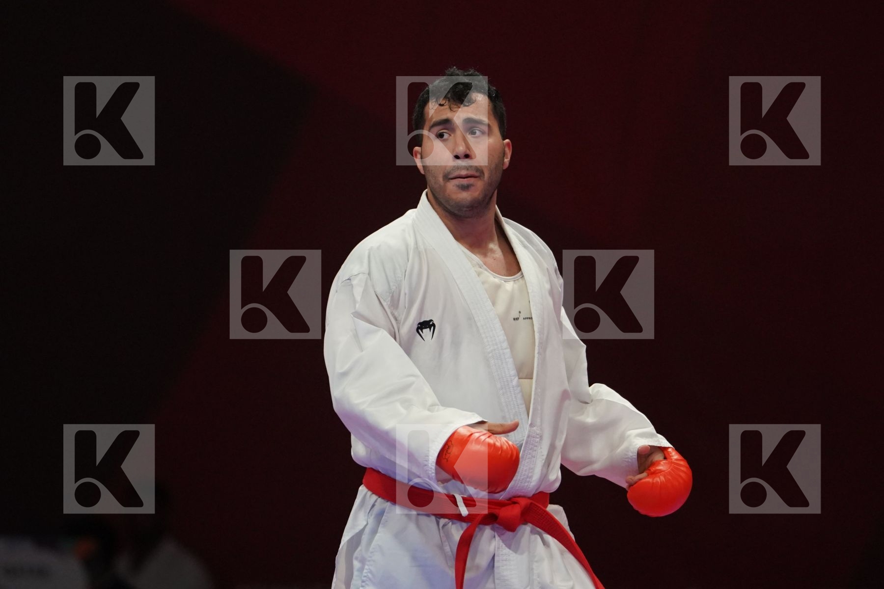 SAJAD GANJZADEH (ISLAMIC REPUBLIC OF IRAN) vs TAREG ALI HAMEDI (SAUDI ARABIA) in Senior Kumite 84+ Kg - Qualification
