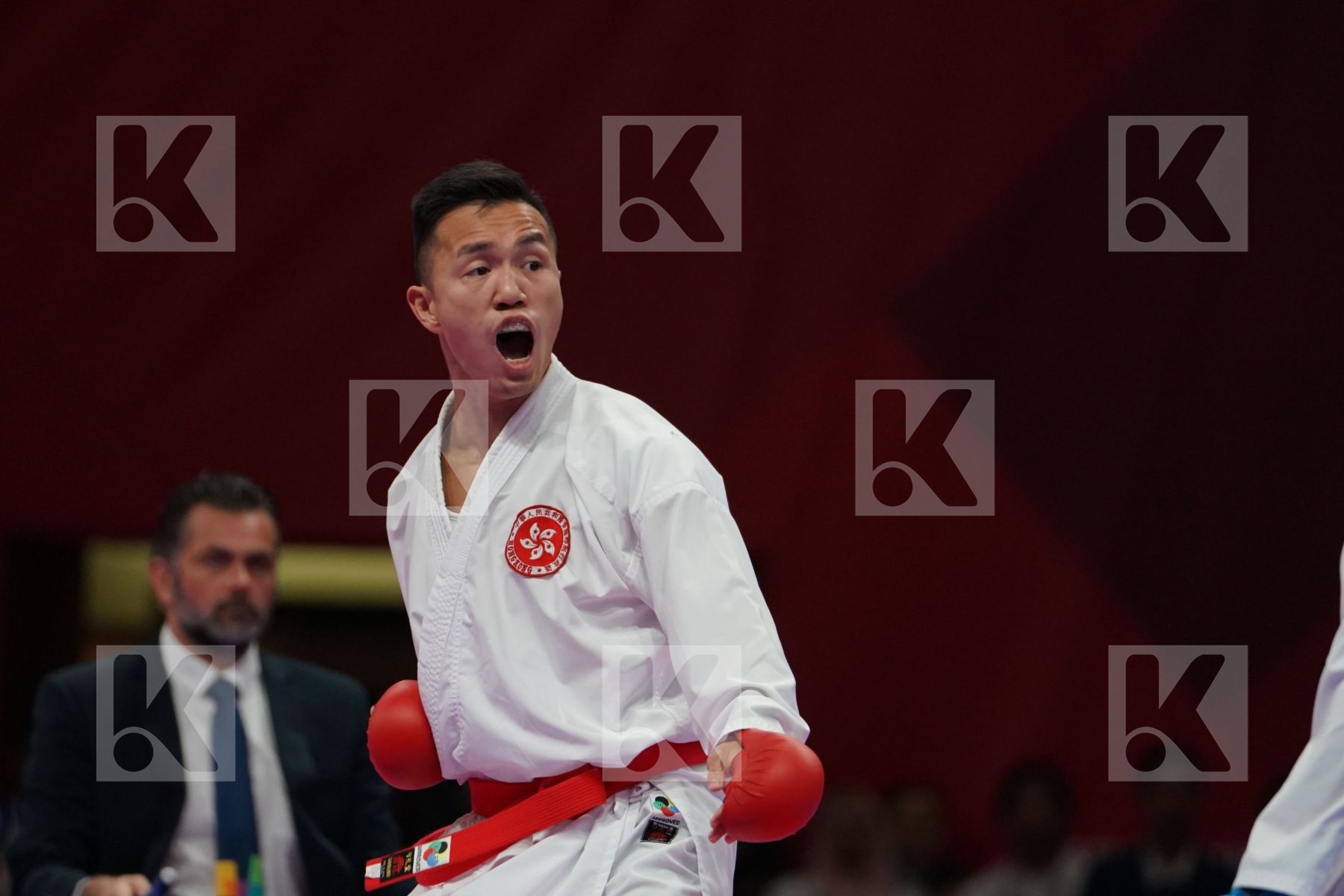 CHUN HO LEE (HONG KONG) vs PREM KUMAR SELVAM (MALAYSIA) in Senior Kumite -60 Kg - Bronze bout
