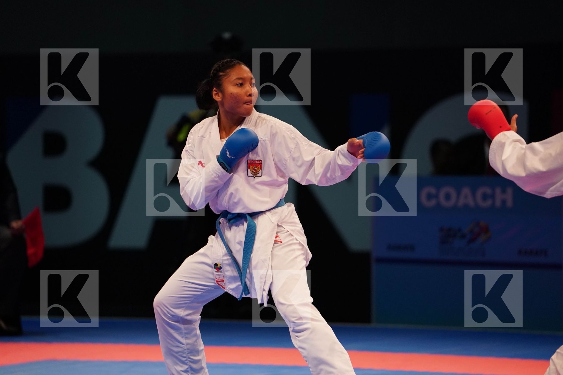 Southeast Asian Game 2017 Kuala Lumpur