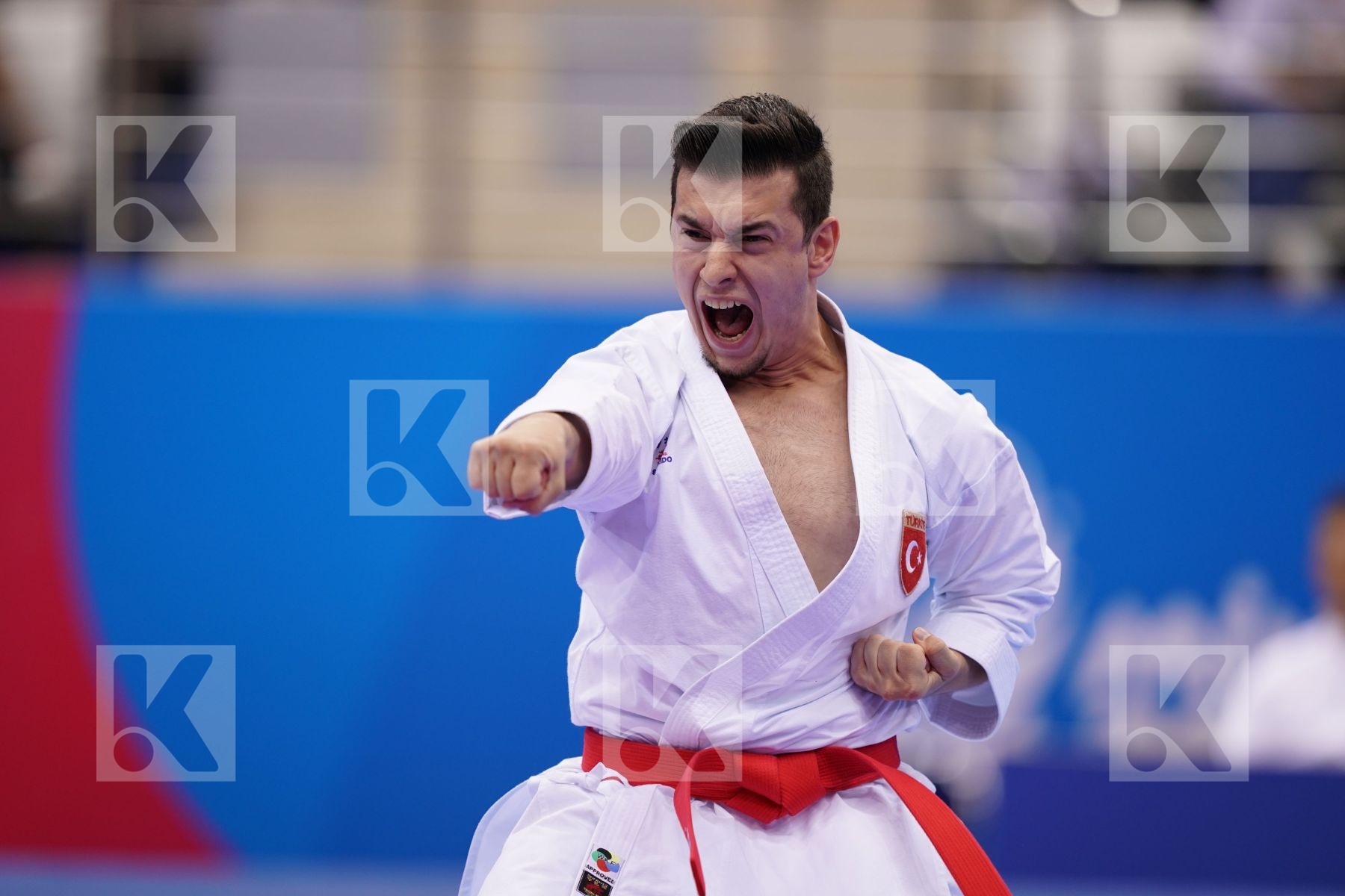 SOFUOGLU ALI (TURKEY) in Senior Male Kata - Final Bout
